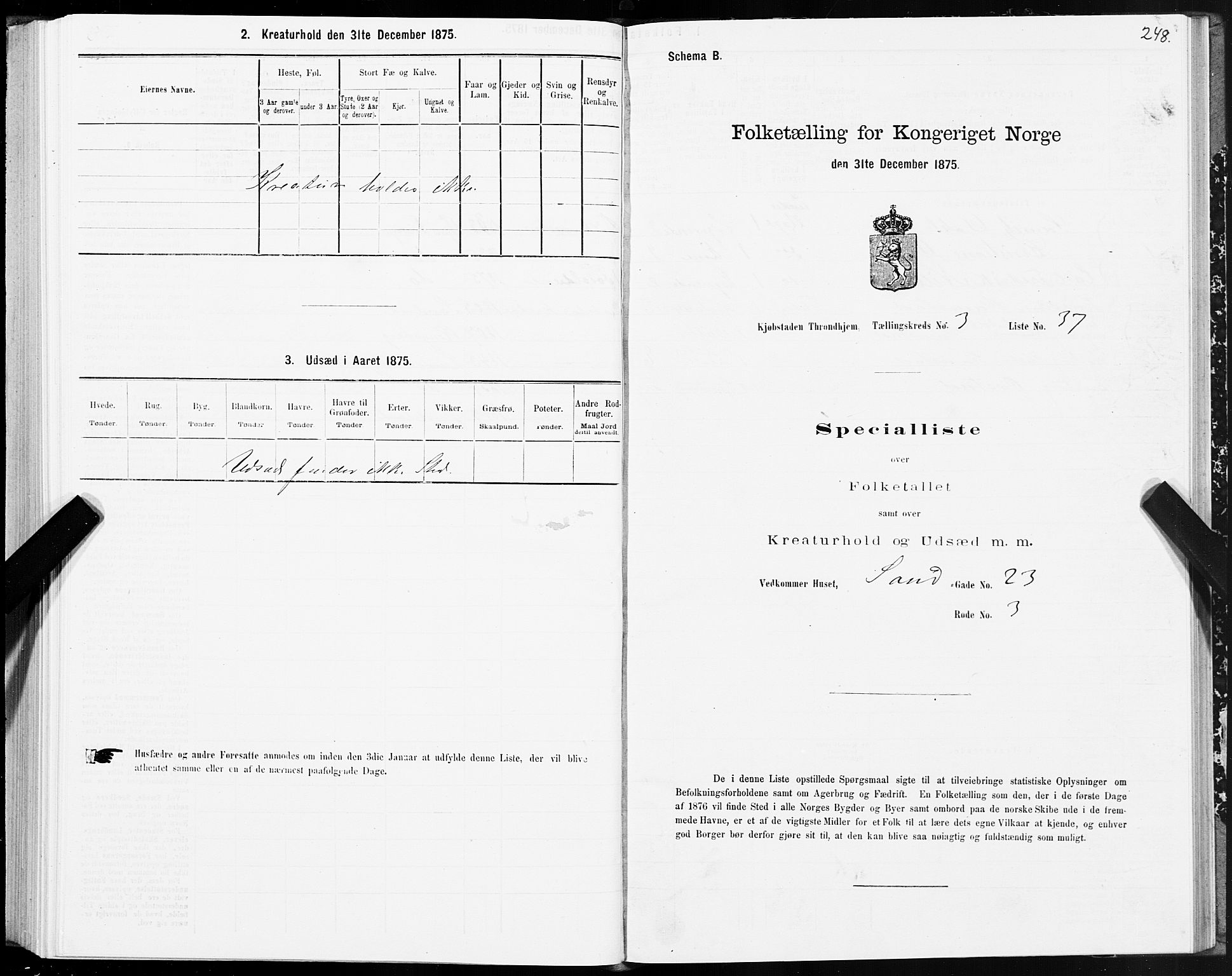 SAT, Folketelling 1875 for 1601 Trondheim kjøpstad, 1875, s. 2248