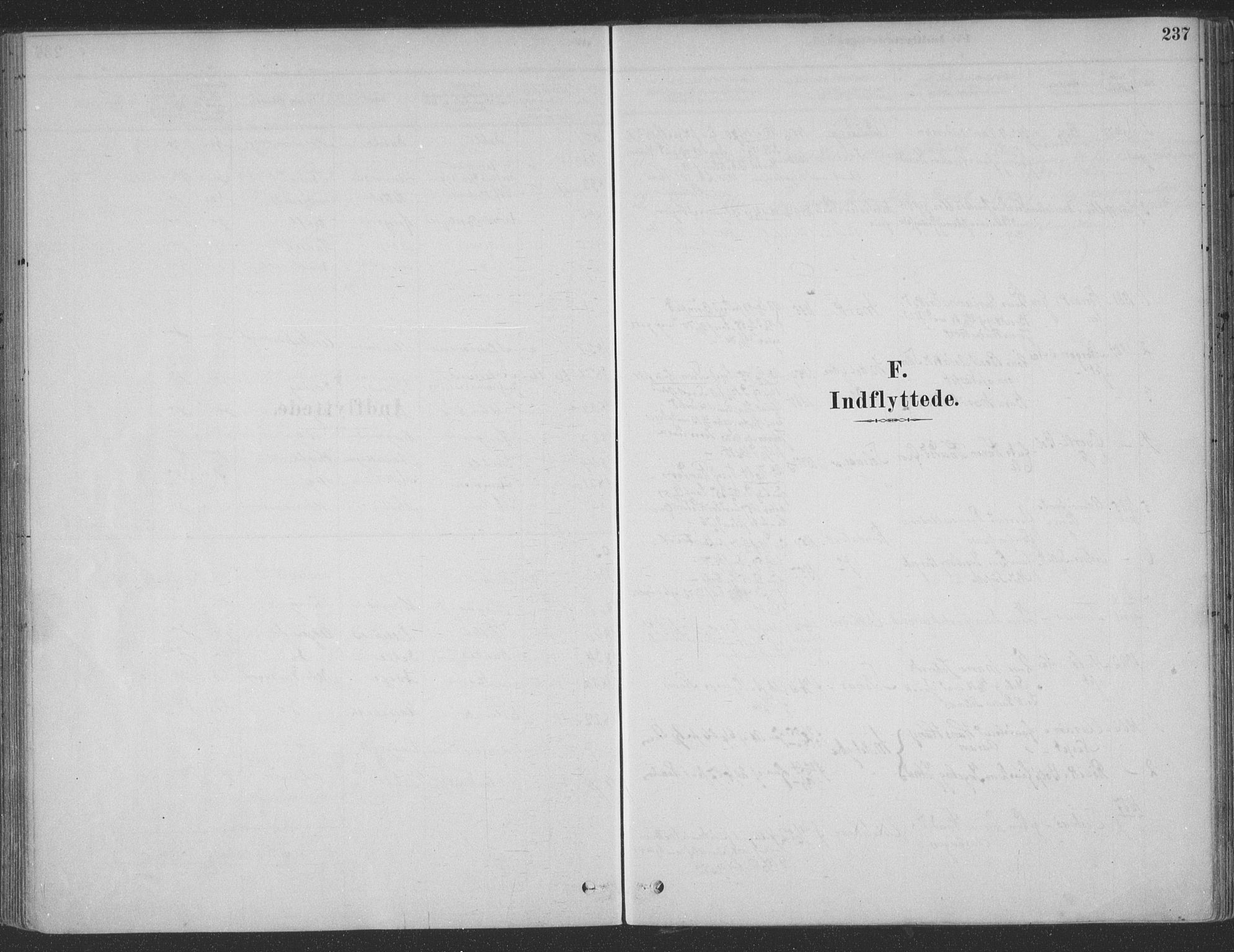 Ministerialprotokoller, klokkerbøker og fødselsregistre - Møre og Romsdal, AV/SAT-A-1454/547/L0604: Ministerialbok nr. 547A06, 1878-1906, s. 237