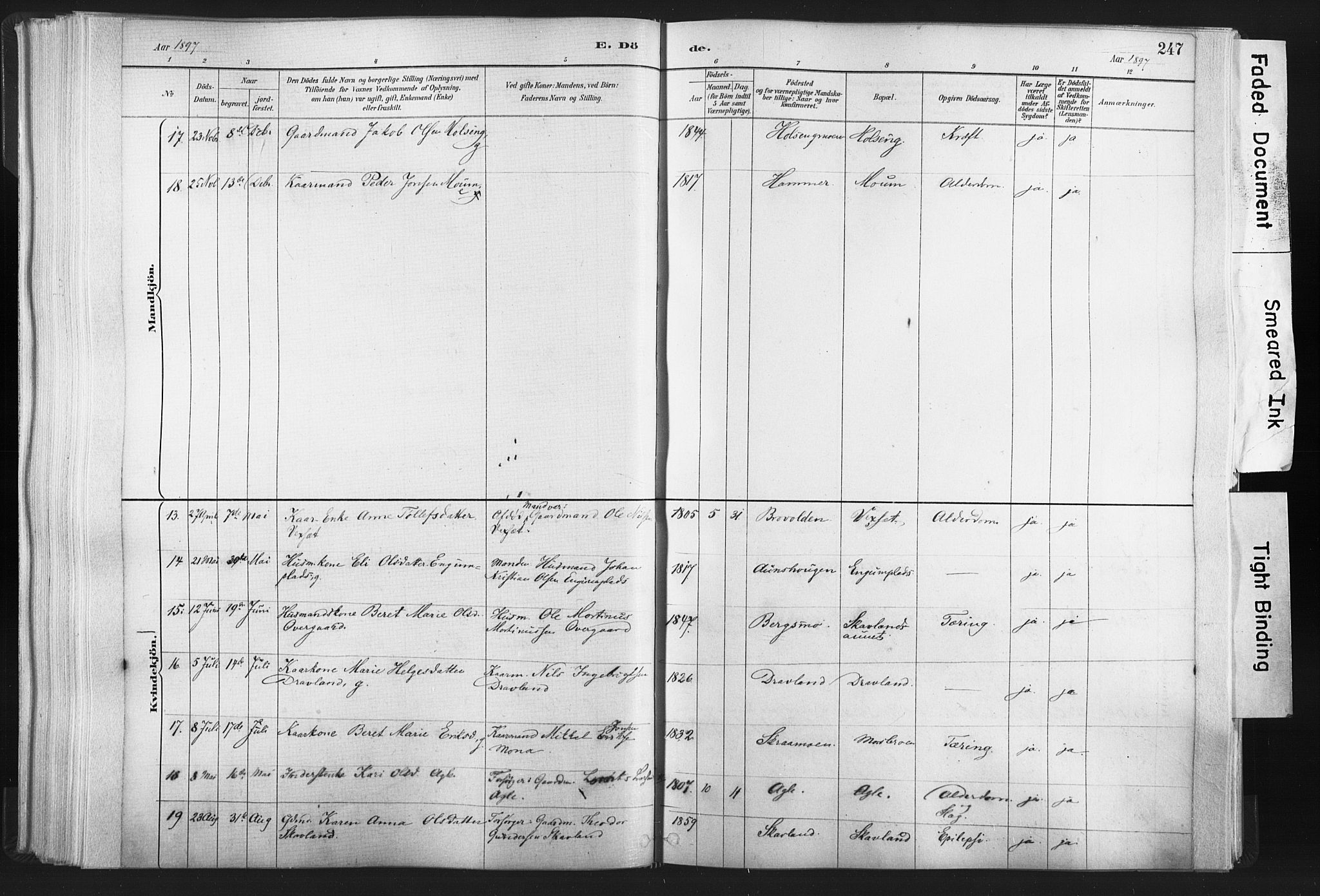 Ministerialprotokoller, klokkerbøker og fødselsregistre - Nord-Trøndelag, SAT/A-1458/749/L0474: Ministerialbok nr. 749A08, 1887-1903, s. 247