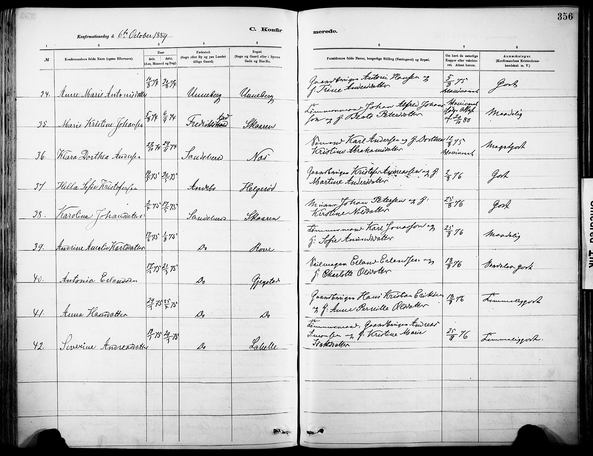 Sandar kirkebøker, AV/SAKO-A-243/F/Fa/L0012: Ministerialbok nr. 12, 1883-1895, s. 356