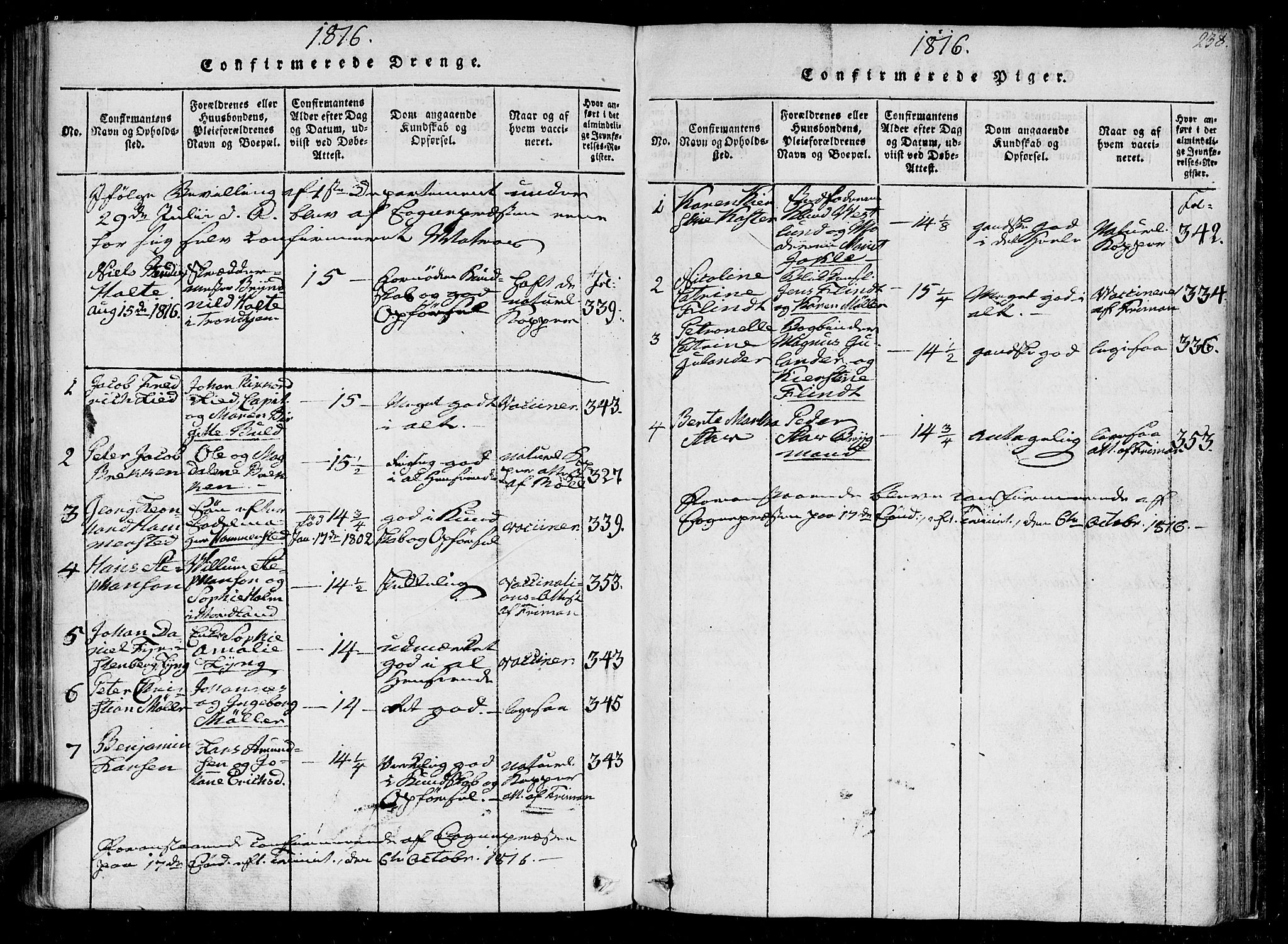 Ministerialprotokoller, klokkerbøker og fødselsregistre - Sør-Trøndelag, SAT/A-1456/602/L0107: Ministerialbok nr. 602A05, 1815-1821, s. 238