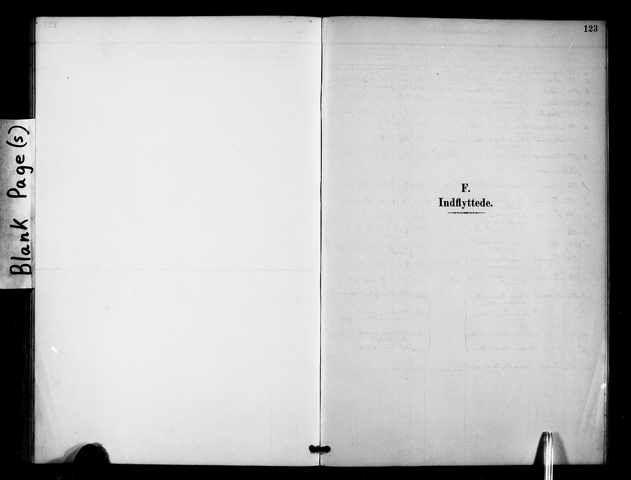 Ministerialprotokoller, klokkerbøker og fødselsregistre - Møre og Romsdal, AV/SAT-A-1454/571/L0836: Ministerialbok nr. 571A01, 1884-1899, s. 123