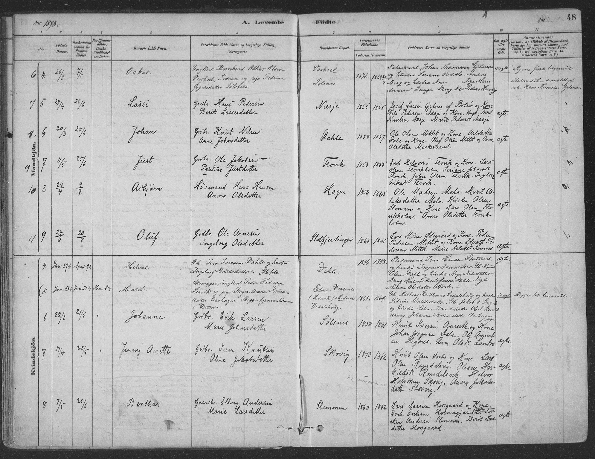 Ministerialprotokoller, klokkerbøker og fødselsregistre - Møre og Romsdal, AV/SAT-A-1454/547/L0604: Ministerialbok nr. 547A06, 1878-1906, s. 48