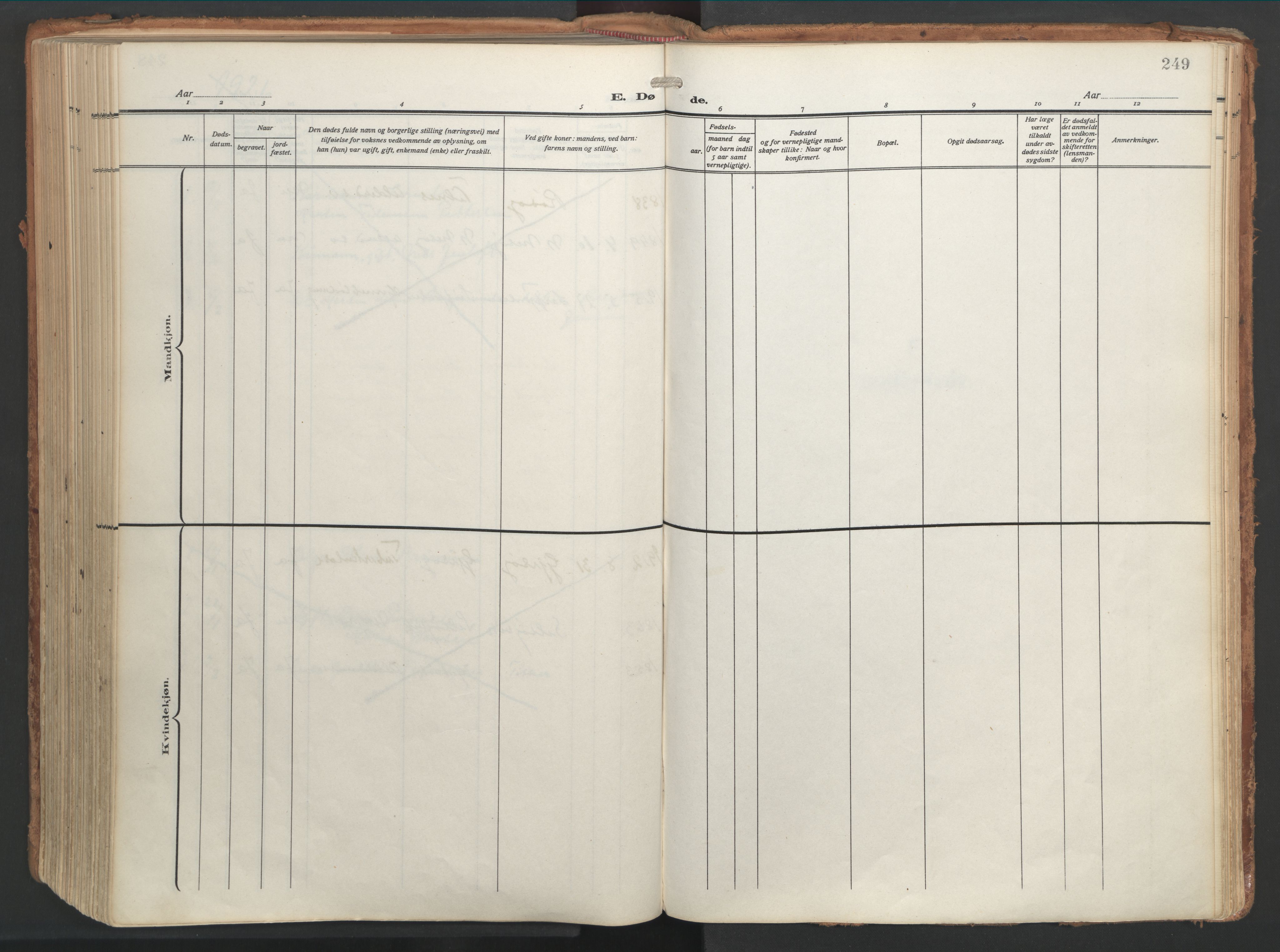 Ministerialprotokoller, klokkerbøker og fødselsregistre - Nordland, AV/SAT-A-1459/841/L0614: Ministerialbok nr. 841A17, 1911-1925, s. 249