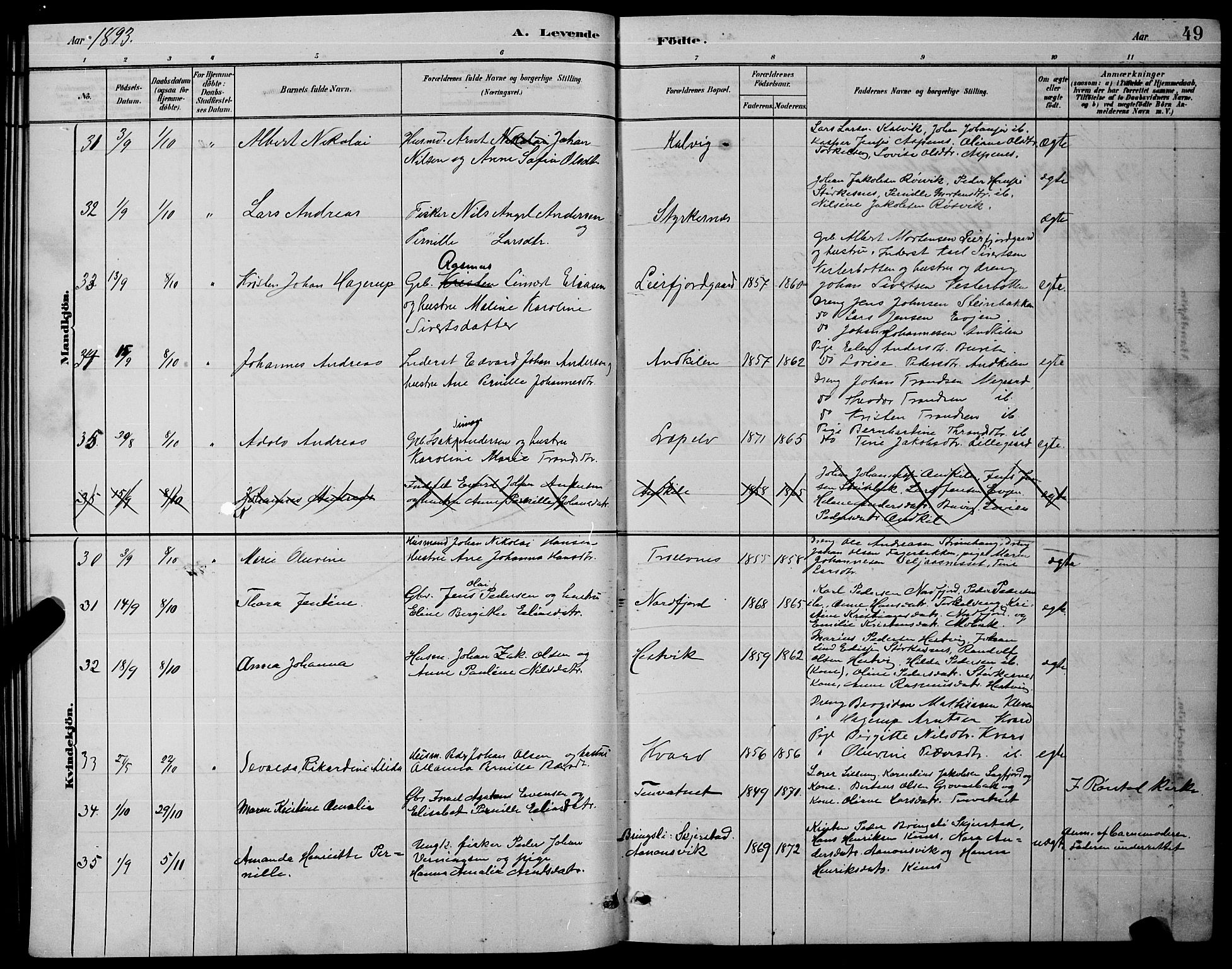 Ministerialprotokoller, klokkerbøker og fødselsregistre - Nordland, AV/SAT-A-1459/853/L0772: Ministerialbok nr. 853A11, 1881-1900, s. 49