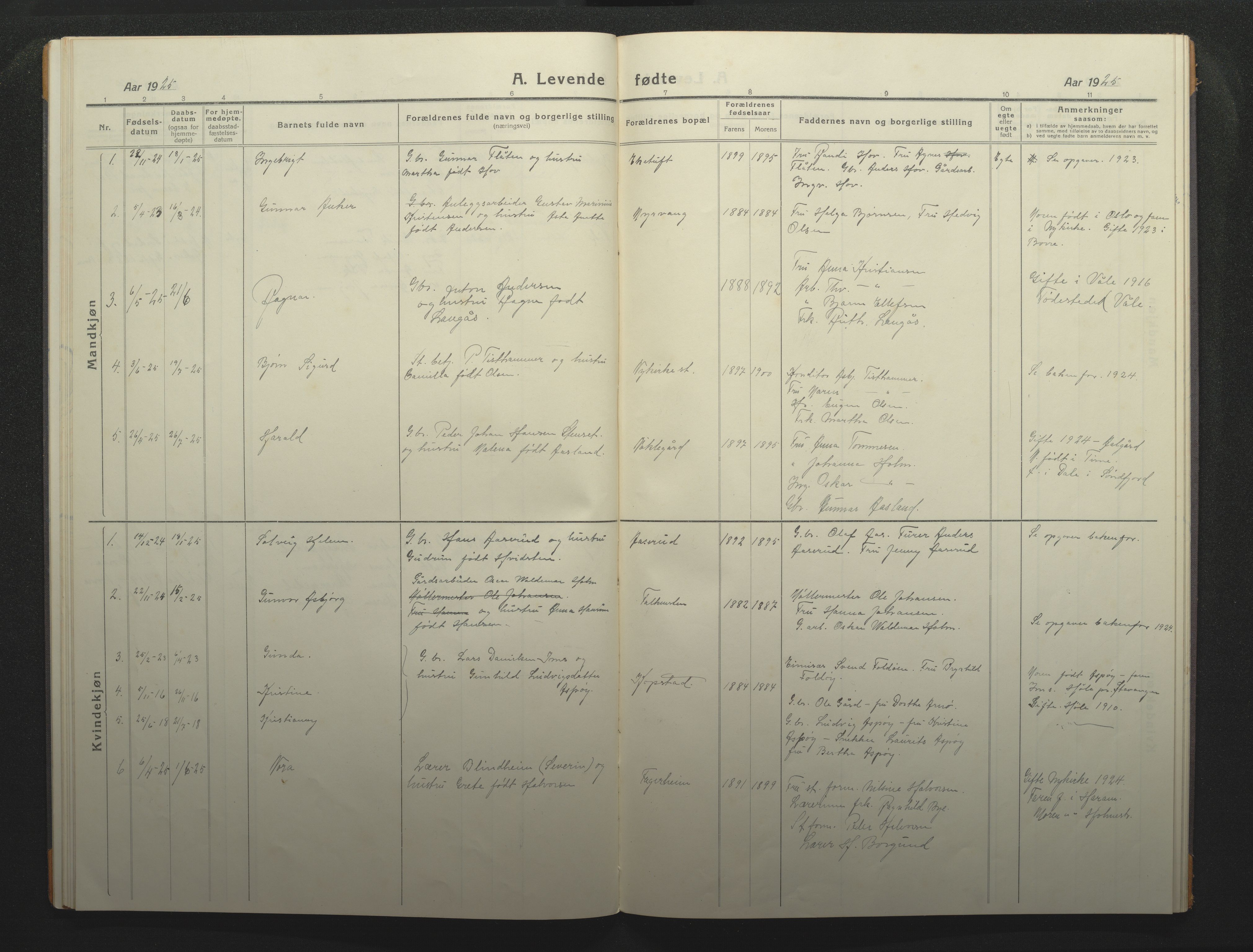 Borre kirkebøker, SAKO/A-338/F/Fc/L0004: Ministerialbok nr. III 4, 1918-1925