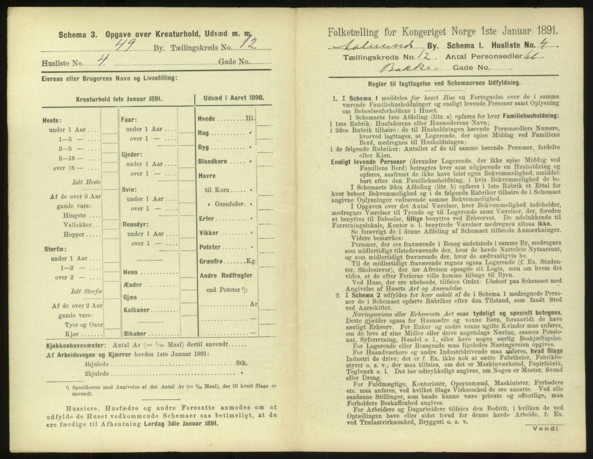 RA, Folketelling 1891 for 1501 Ålesund kjøpstad, 1891, s. 870