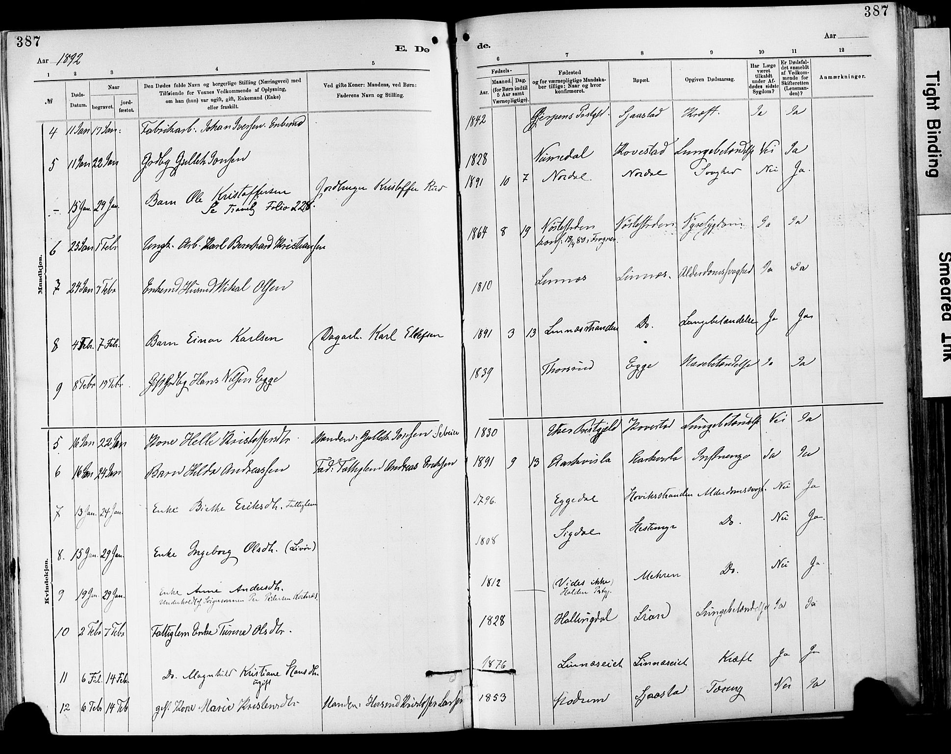 Lier kirkebøker, AV/SAKO-A-230/F/Fa/L0015: Ministerialbok nr. I 15, 1883-1894, s. 387