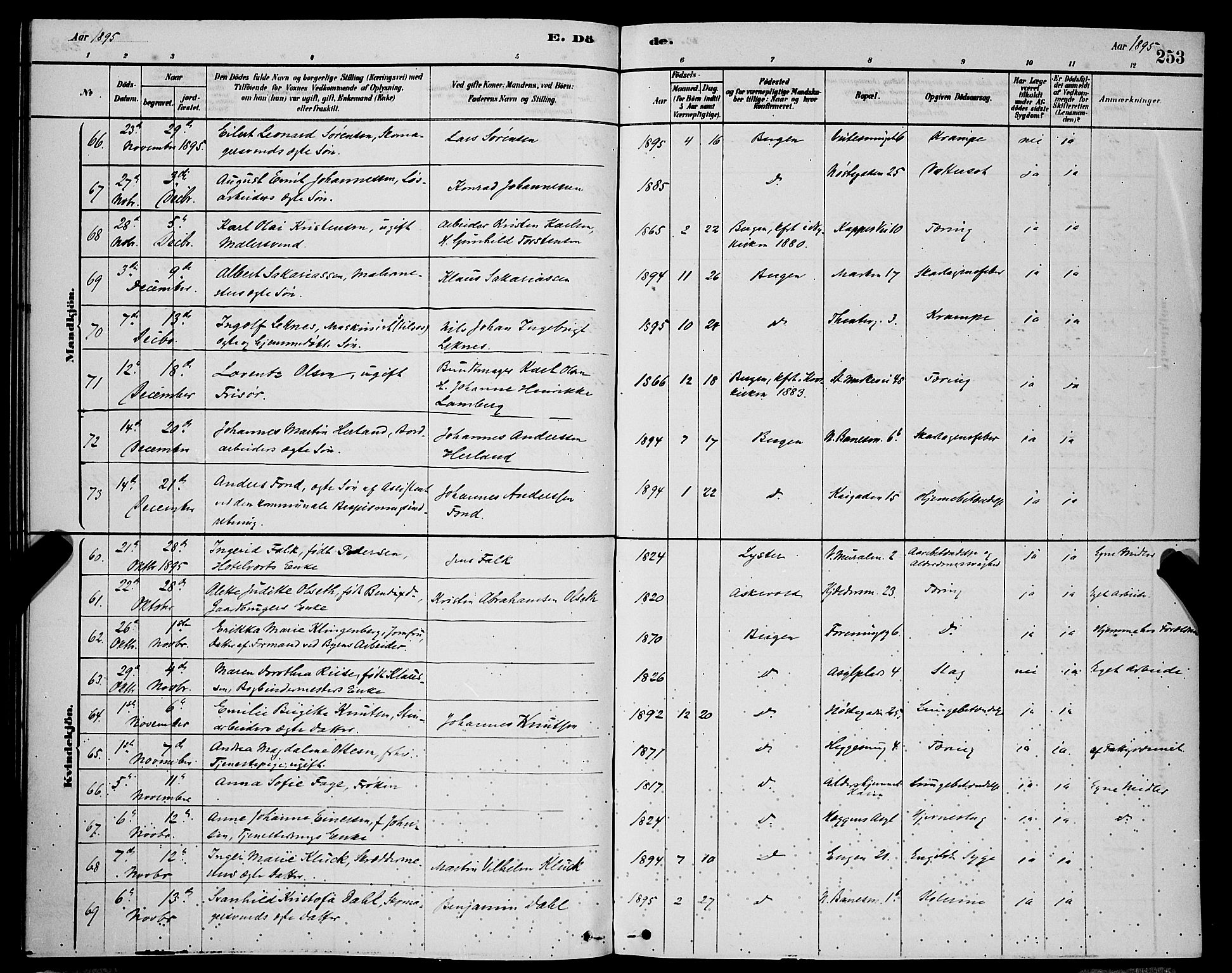 Domkirken sokneprestembete, AV/SAB-A-74801/H/Hab/L0041: Klokkerbok nr. E 5, 1878-1900, s. 253