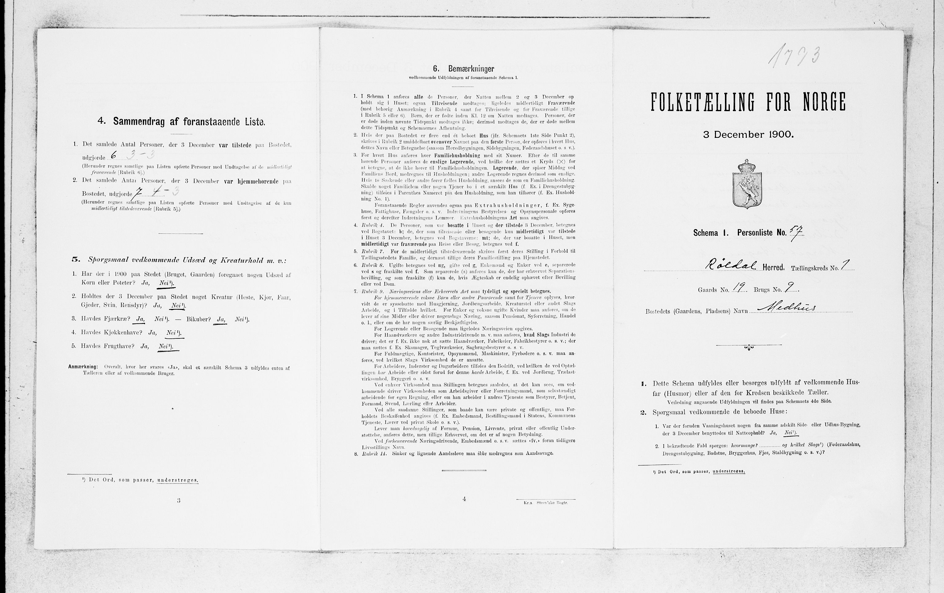 SAB, Folketelling 1900 for 1229 Røldal herred, 1900, s. 121