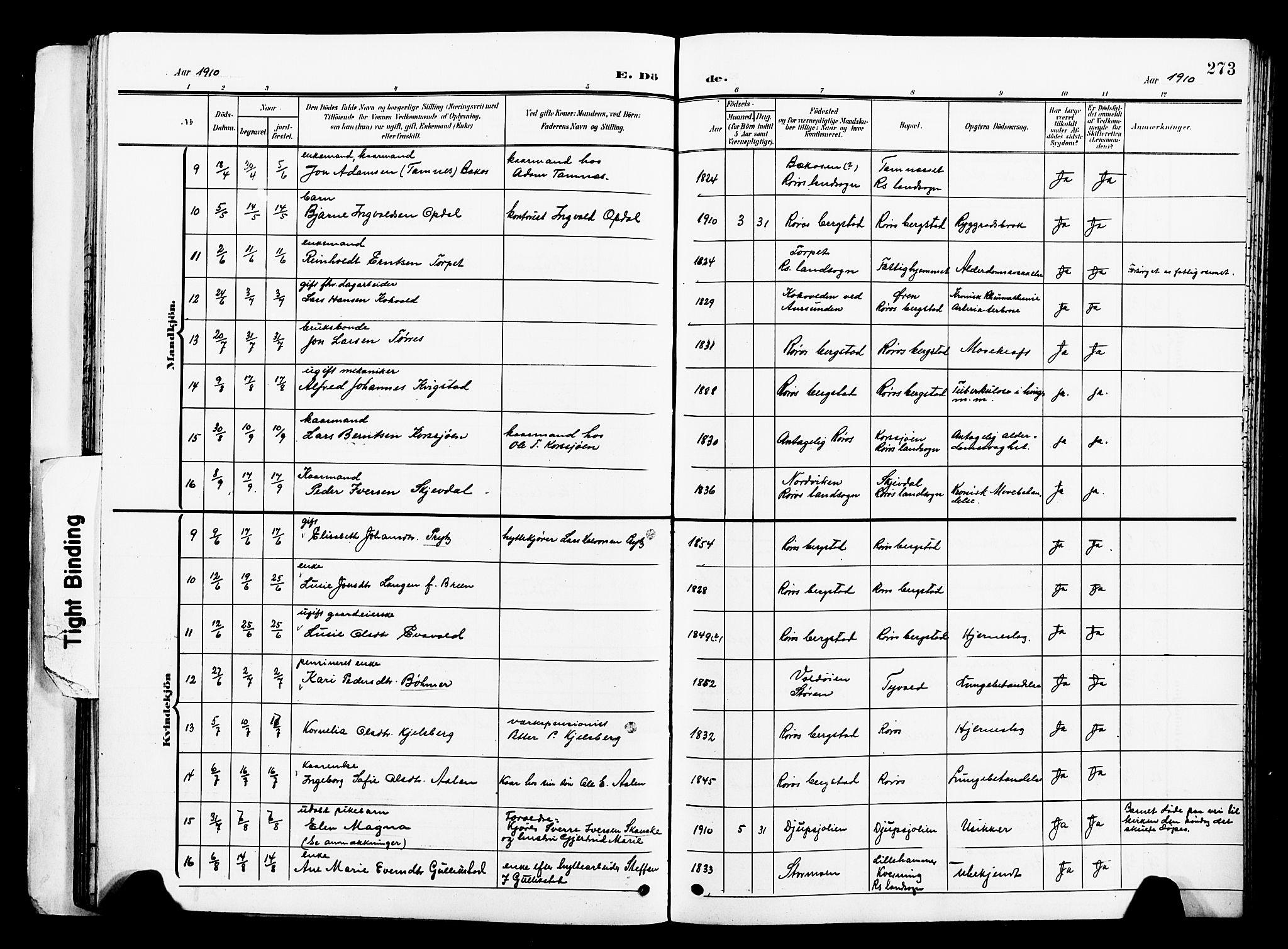 Ministerialprotokoller, klokkerbøker og fødselsregistre - Sør-Trøndelag, AV/SAT-A-1456/681/L0942: Klokkerbok nr. 681C06, 1906-1925, s. 273