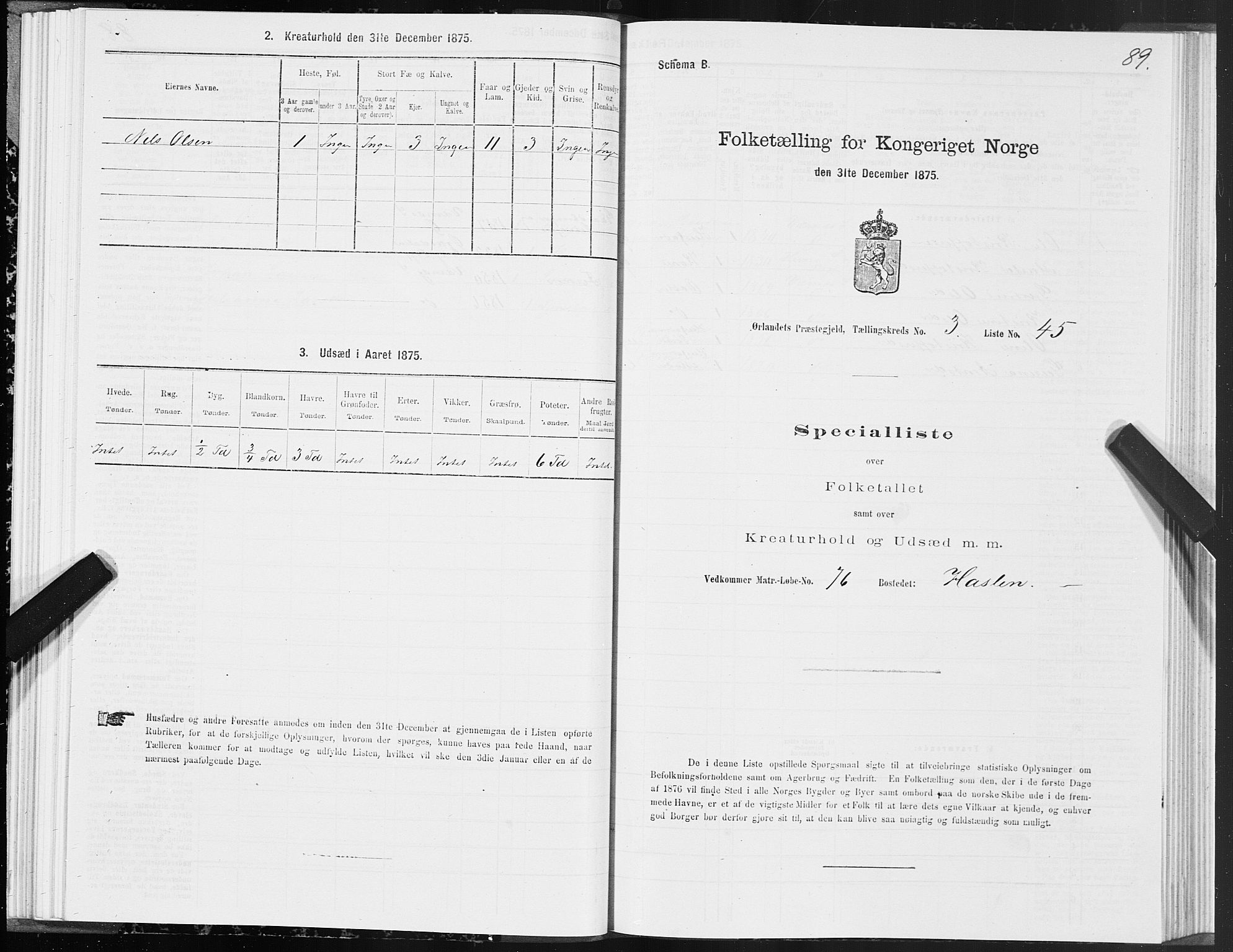 SAT, Folketelling 1875 for 1621P Ørland prestegjeld, 1875, s. 2089