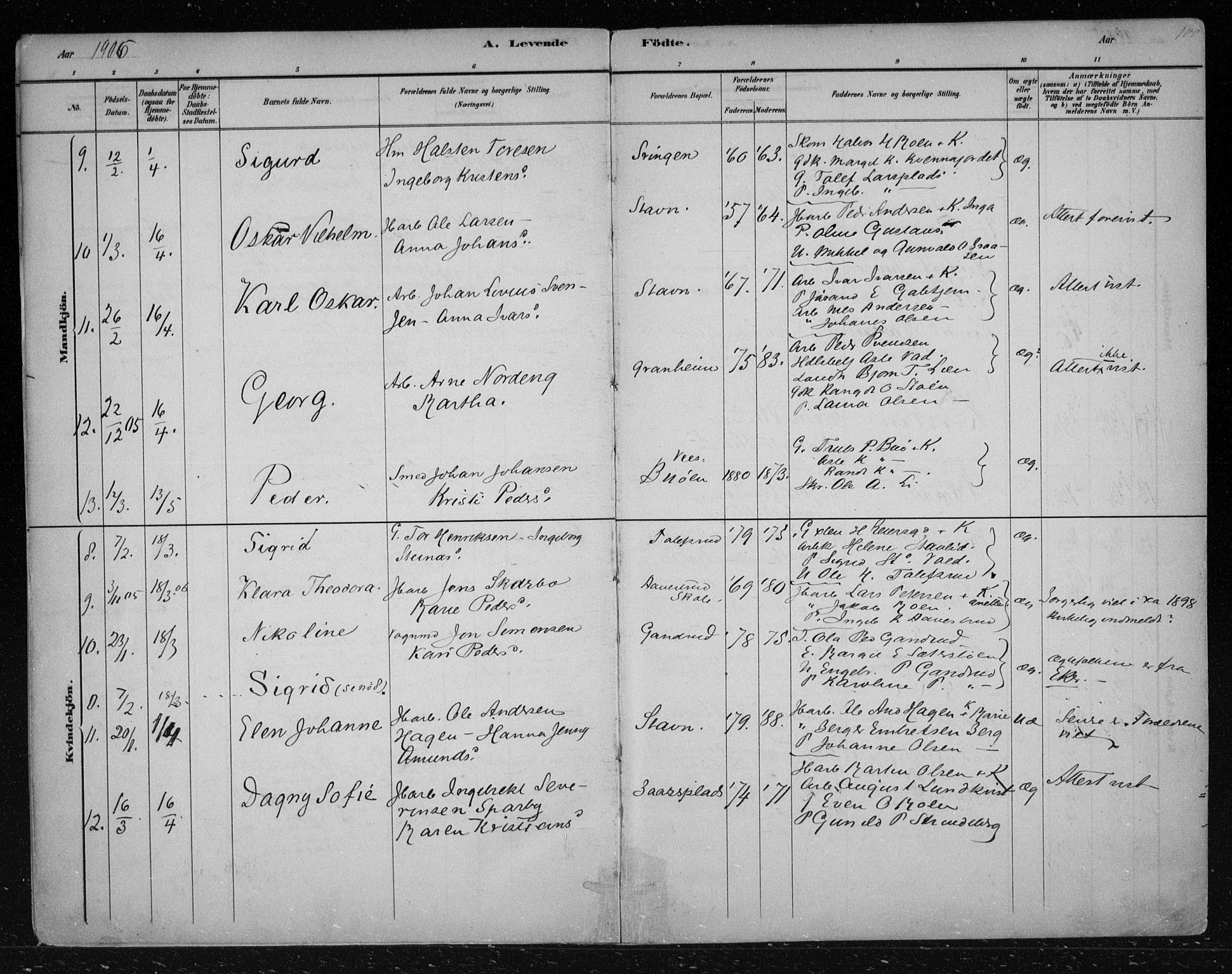 Nes kirkebøker, AV/SAKO-A-236/F/Fa/L0012: Ministerialbok nr. 12, 1881-1917, s. 100