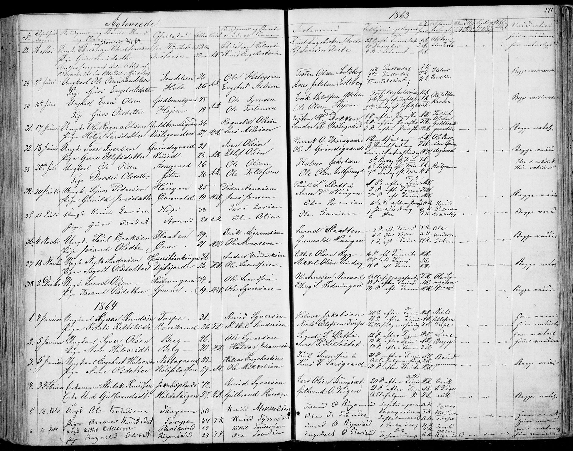 Ål kirkebøker, AV/SAKO-A-249/F/Fa/L0006: Ministerialbok nr. I 6, 1849-1864, s. 271