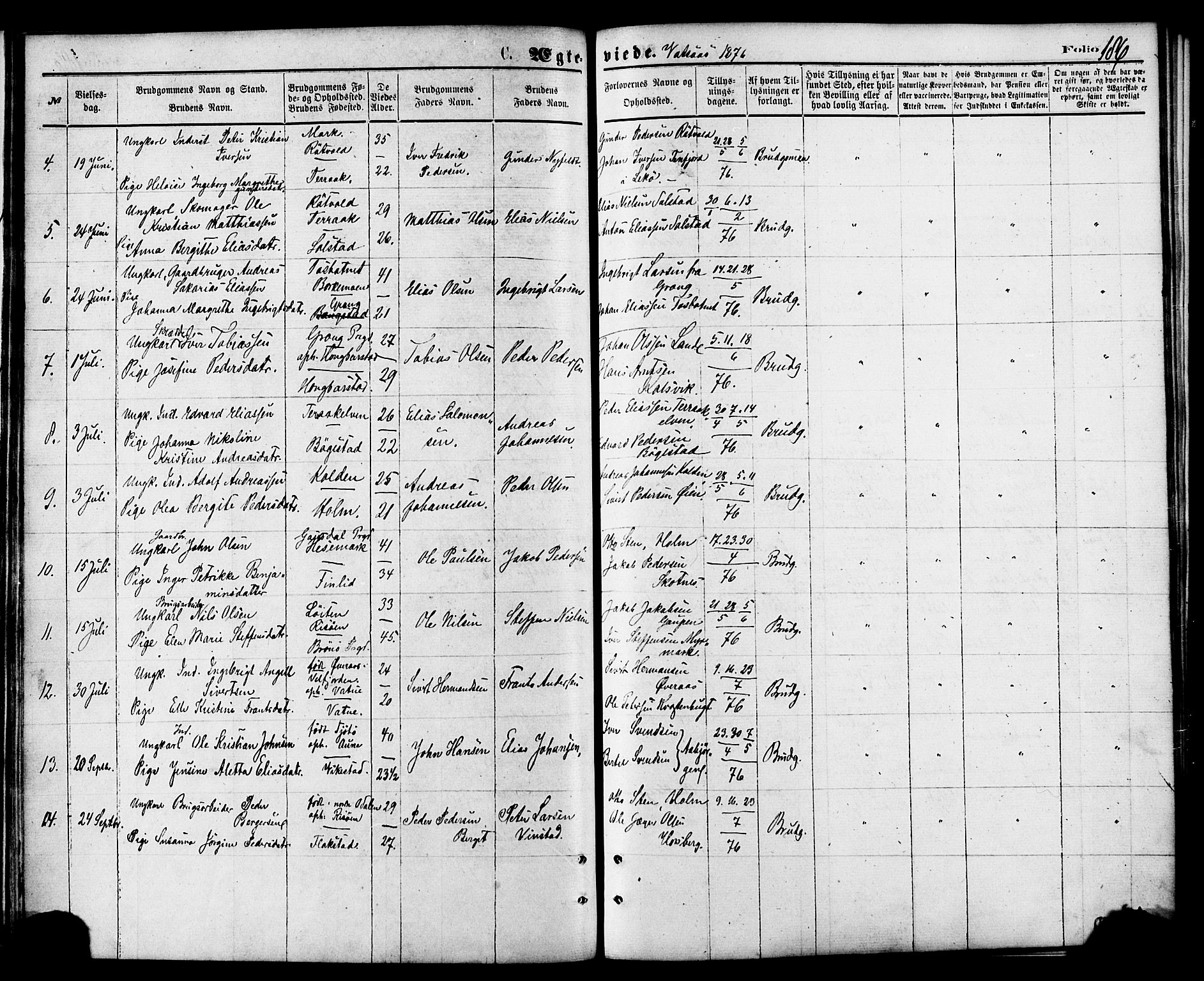 Ministerialprotokoller, klokkerbøker og fødselsregistre - Nordland, AV/SAT-A-1459/810/L0148: Ministerialbok nr. 810A09 /1, 1874-1884, s. 186