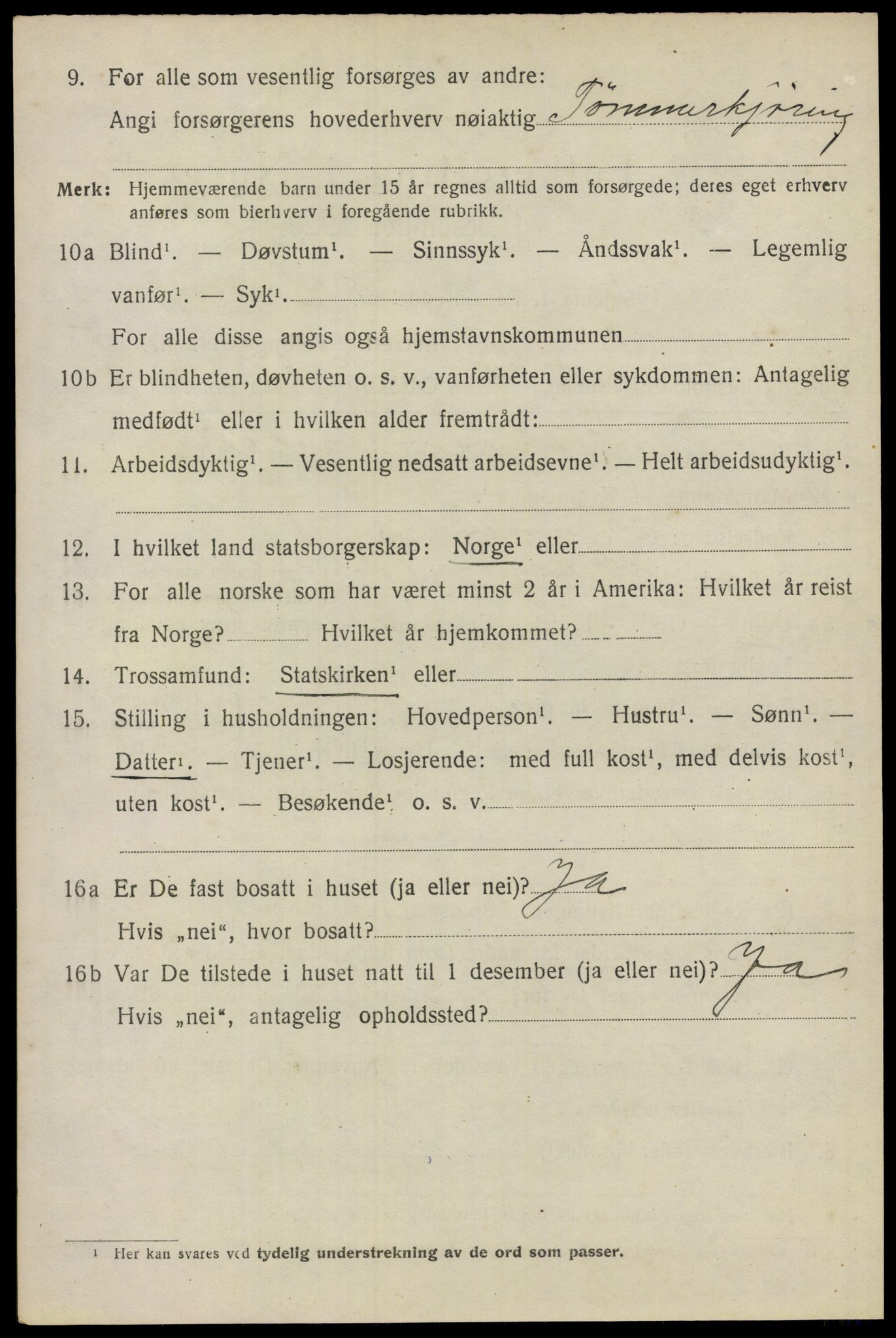 SAO, Folketelling 1920 for 0236 Nes herred, 1920, s. 6539