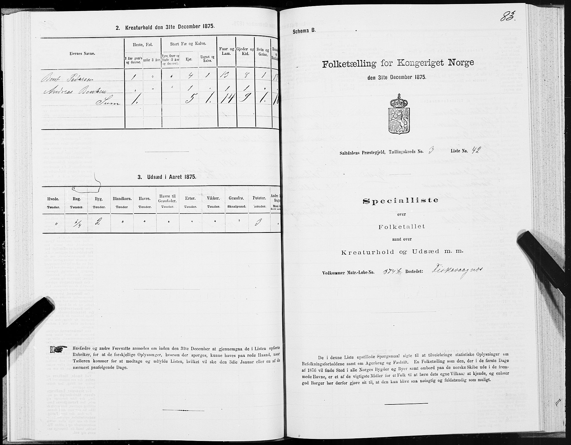 SAT, Folketelling 1875 for 1840P Saltdal prestegjeld, 1875, s. 2083