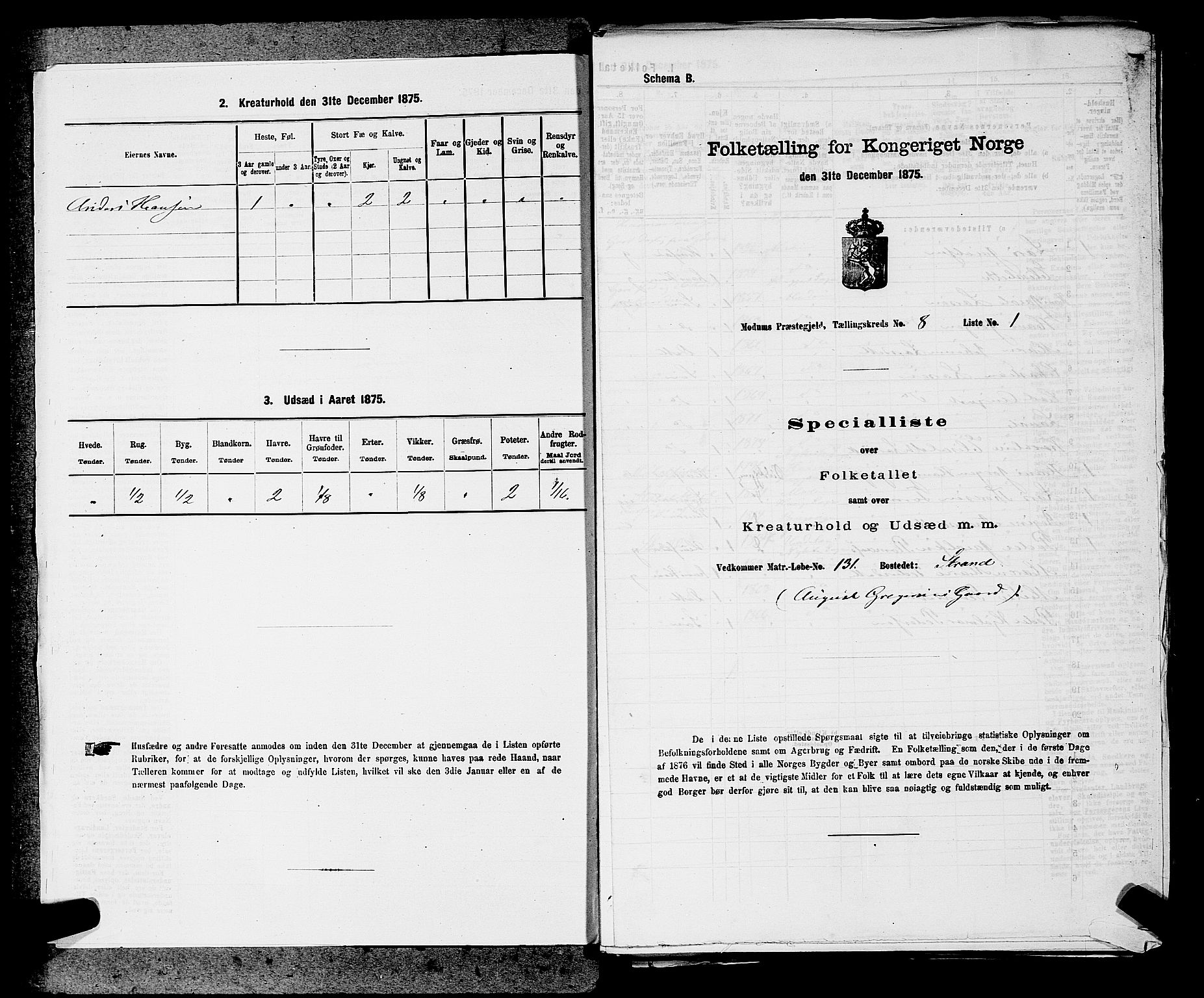 SAKO, Folketelling 1875 for 0623P Modum prestegjeld, 1875, s. 875