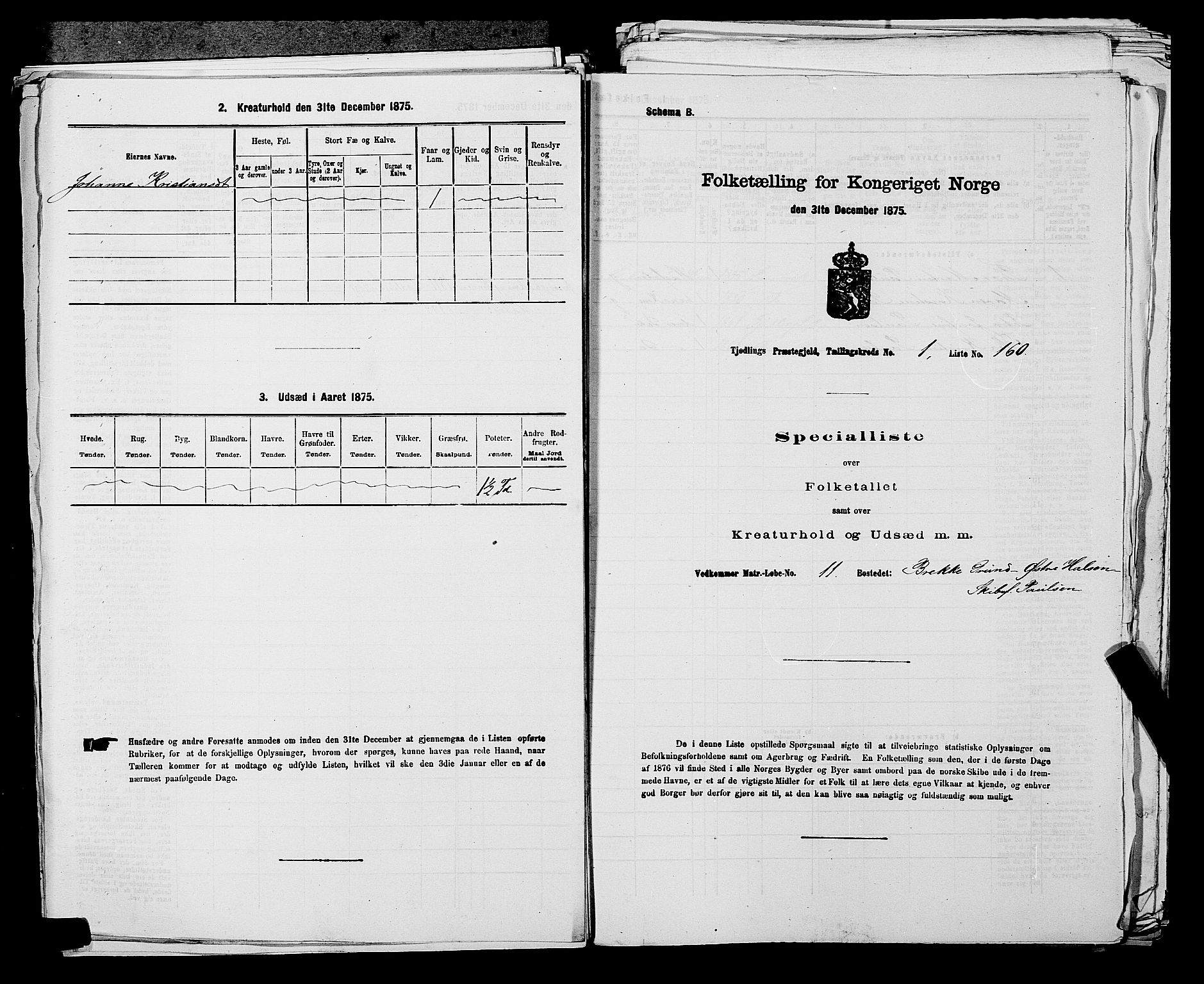 SAKO, Folketelling 1875 for 0725P Tjølling prestegjeld, 1875, s. 380