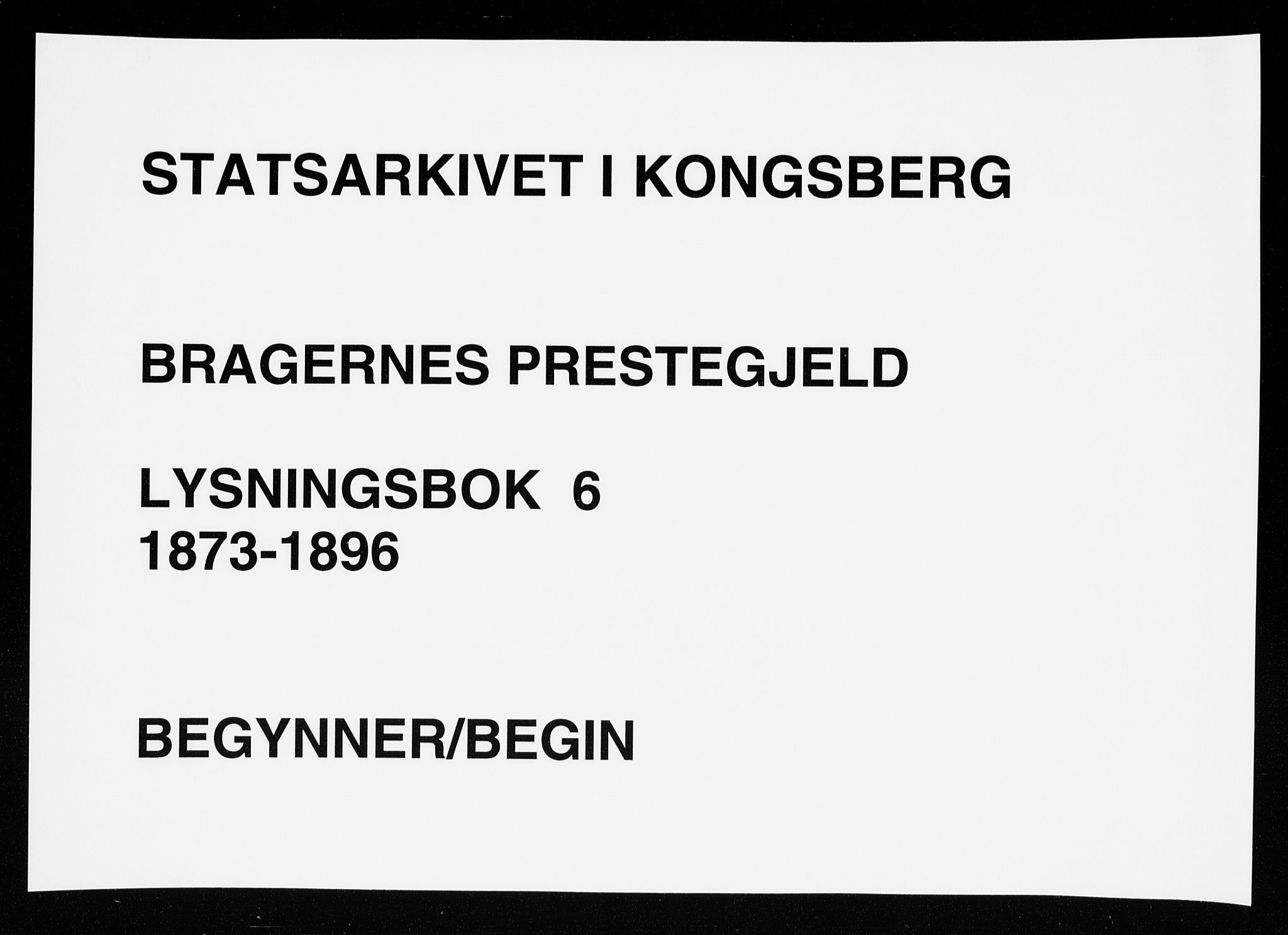 Bragernes kirkebøker, AV/SAKO-A-6/H/Ha/L0006: Lysningsprotokoll nr. 6, 1873-1896