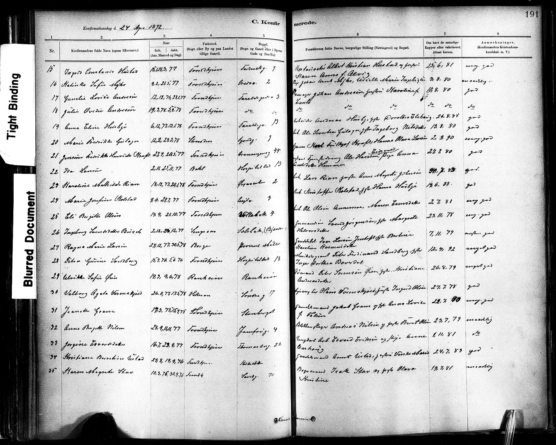 Ministerialprotokoller, klokkerbøker og fødselsregistre - Sør-Trøndelag, SAT/A-1456/602/L0119: Ministerialbok nr. 602A17, 1880-1901, s. 191