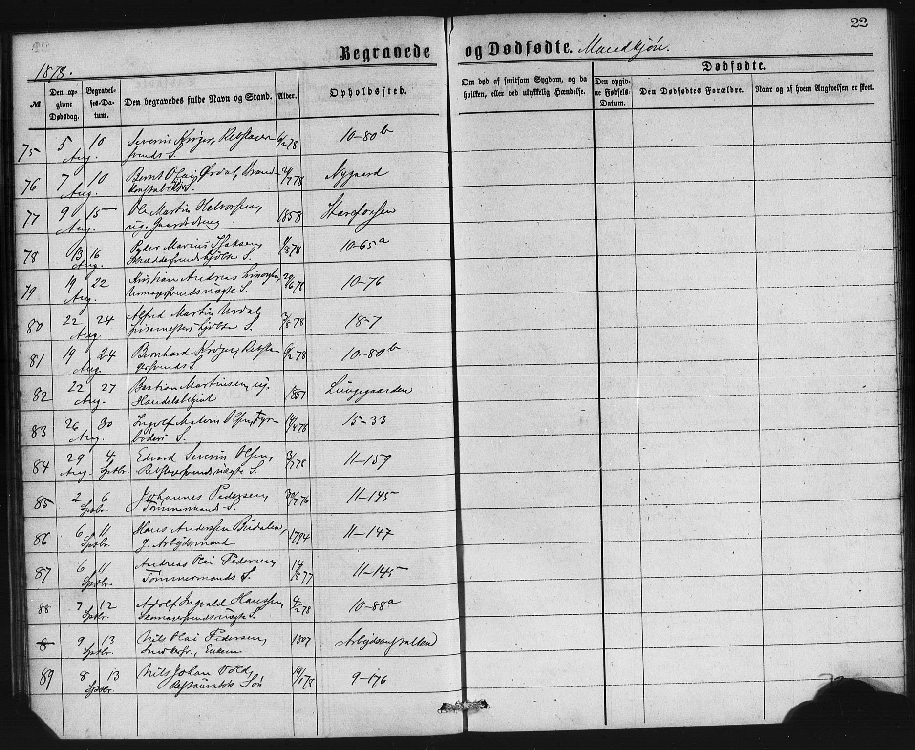 Domkirken sokneprestembete, AV/SAB-A-74801/H/Haa: Ministerialbok nr. E 4, 1877-1881, s. 22