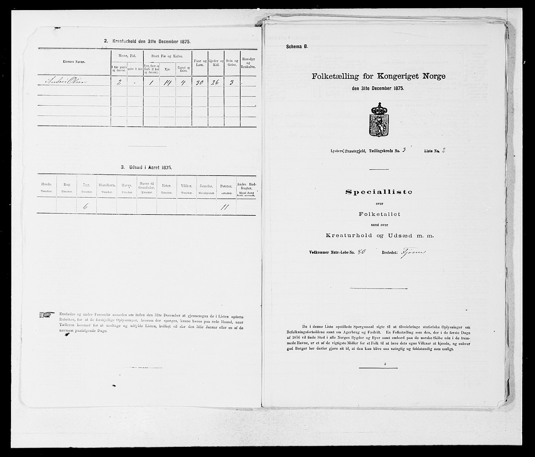 SAB, Folketelling 1875 for 1426P Luster prestegjeld, 1875, s. 441