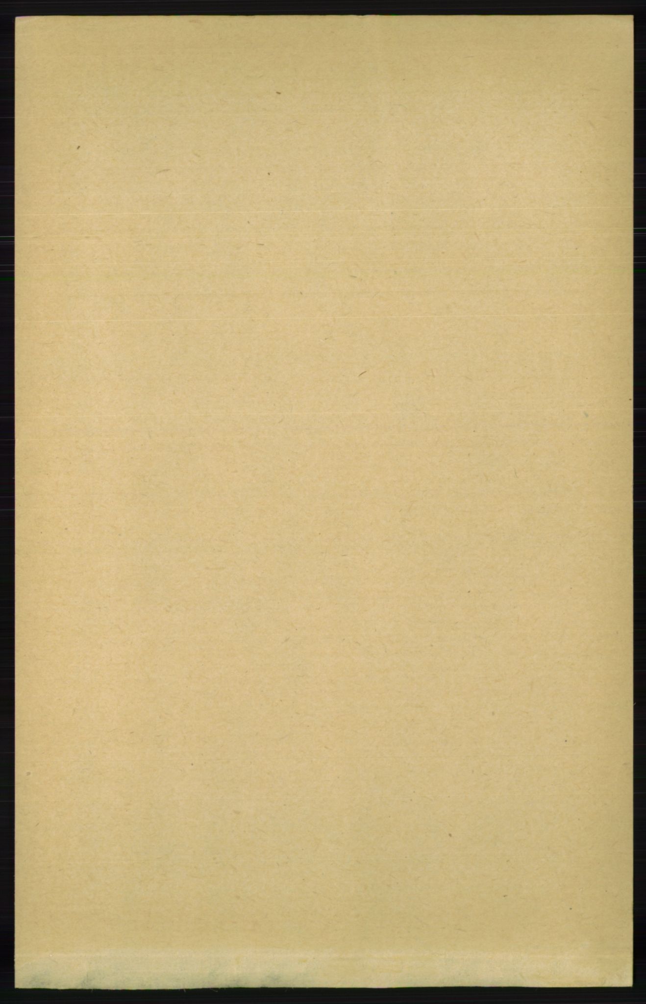 RA, Folketelling 1891 for 1014 Vennesla herred, 1891, s. 847