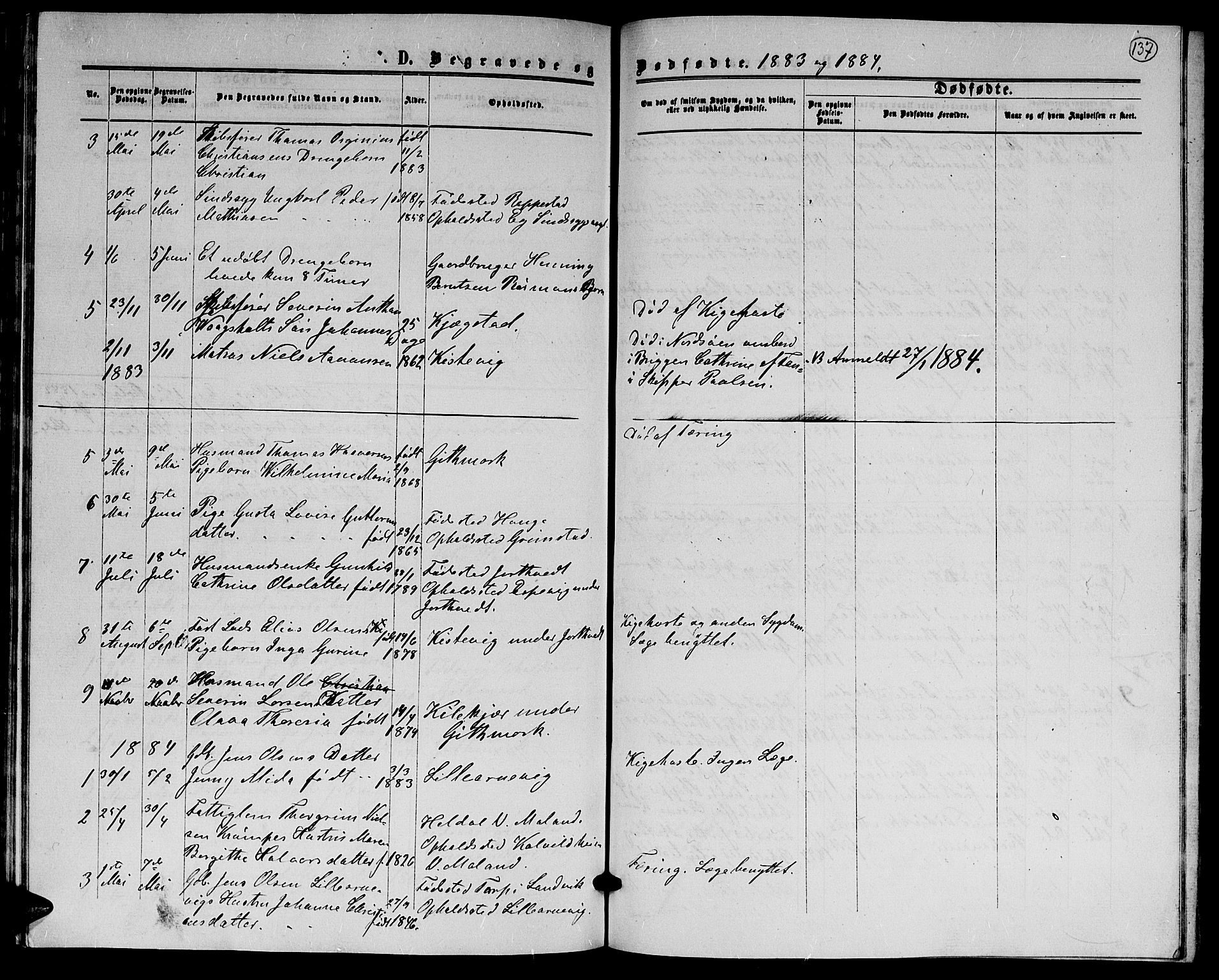 Hommedal sokneprestkontor, AV/SAK-1111-0023/F/Fb/Fba/L0003: Klokkerbok nr. B 3, 1863-1884, s. 137