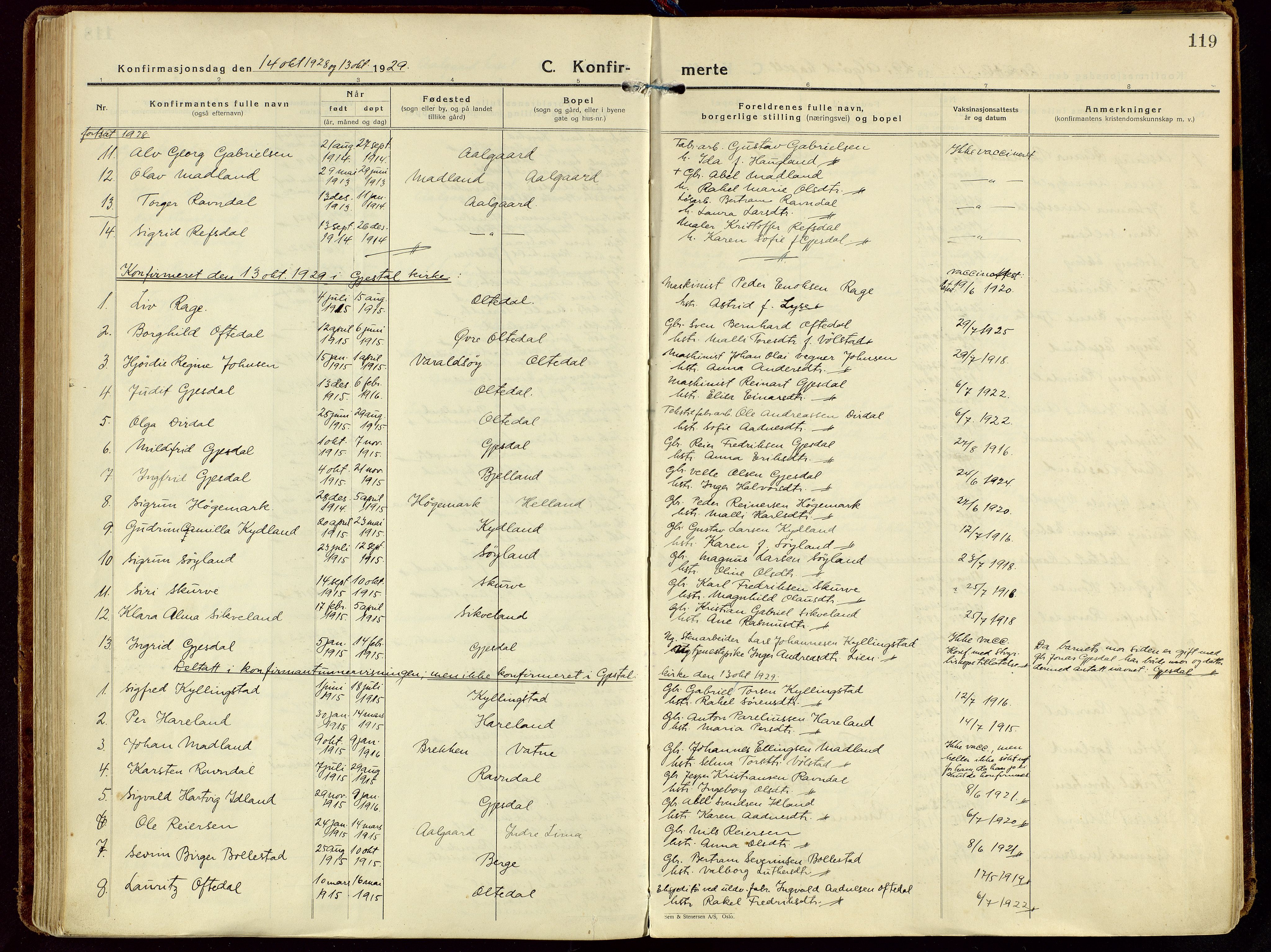 Gjesdal sokneprestkontor, AV/SAST-A-101796/003/O/L0001: Ministerialbok nr. A 1, 1925-1949, s. 119