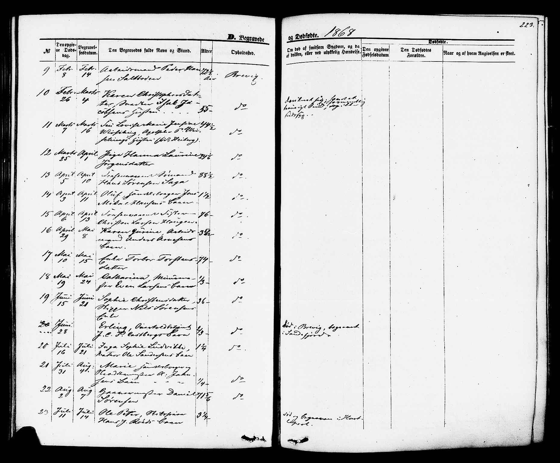 Brevik kirkebøker, AV/SAKO-A-255/F/Fa/L0006: Ministerialbok nr. 6, 1866-1881, s. 223
