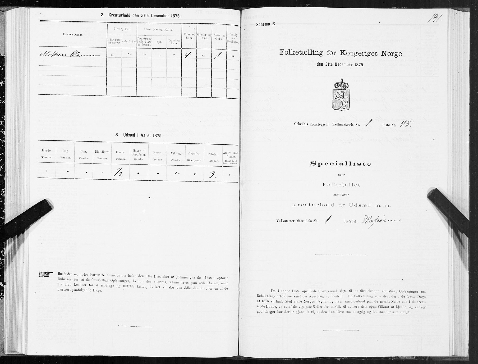 SAT, Folketelling 1875 for 1638P Orkdal prestegjeld, 1875, s. 1191