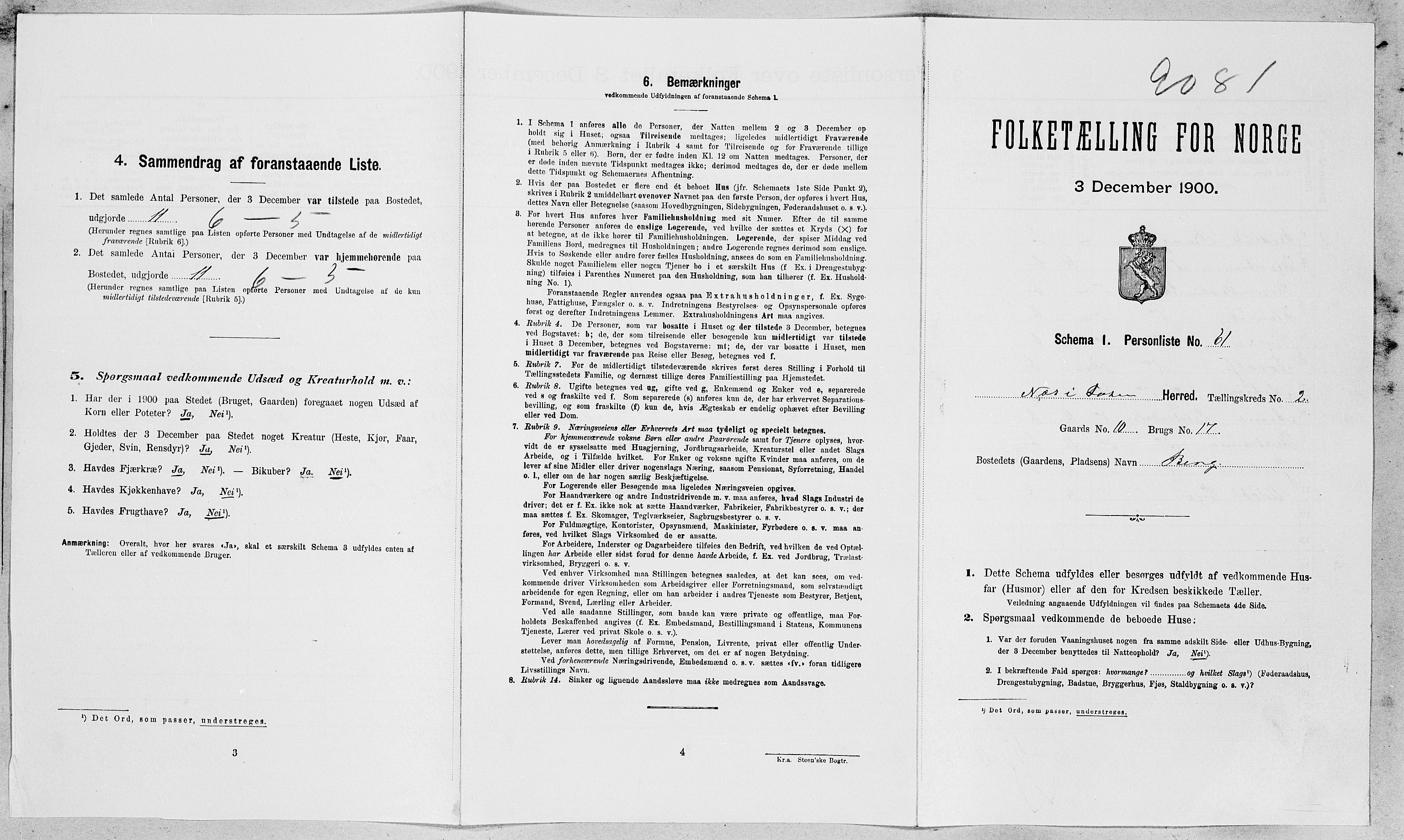SAT, Folketelling 1900 for 1628 Nes herred, 1900, s. 185