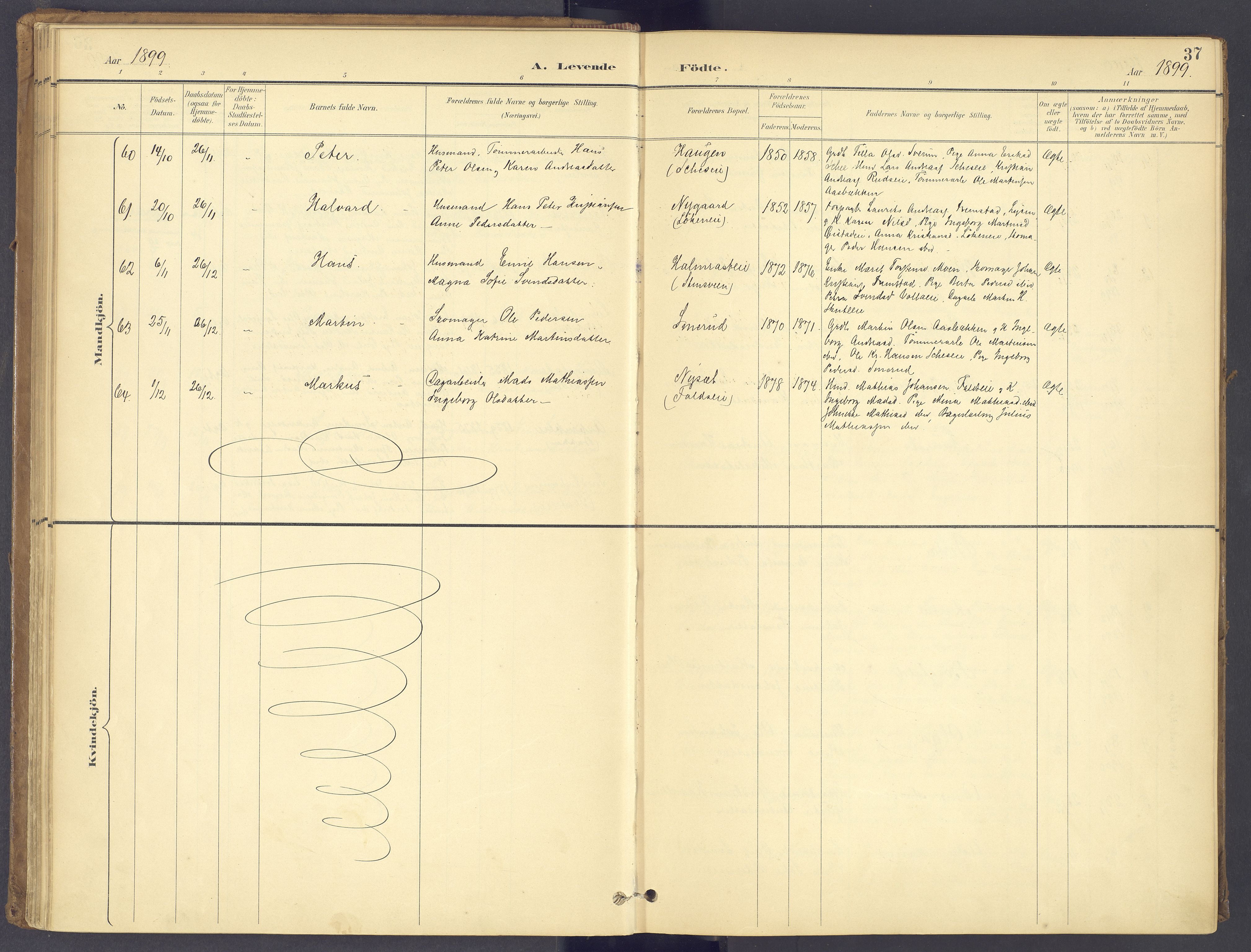 Søndre Land prestekontor, AV/SAH-PREST-122/K/L0006: Ministerialbok nr. 6, 1895-1904, s. 37