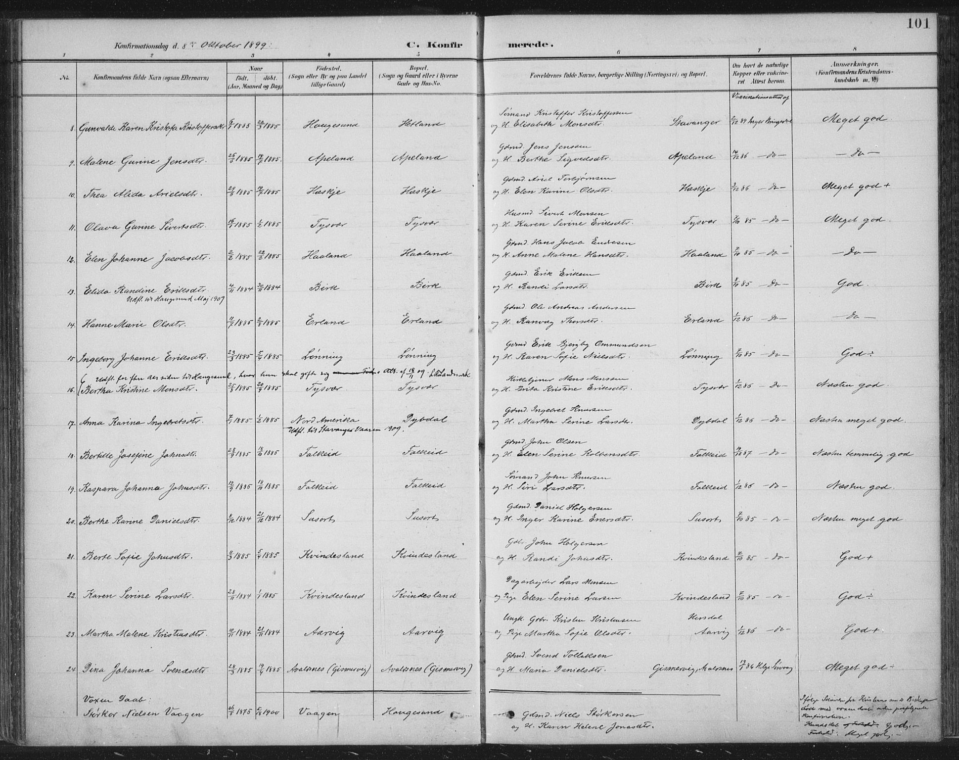 Tysvær sokneprestkontor, AV/SAST-A -101864/H/Ha/Haa/L0008: Ministerialbok nr. A 8, 1897-1918, s. 101