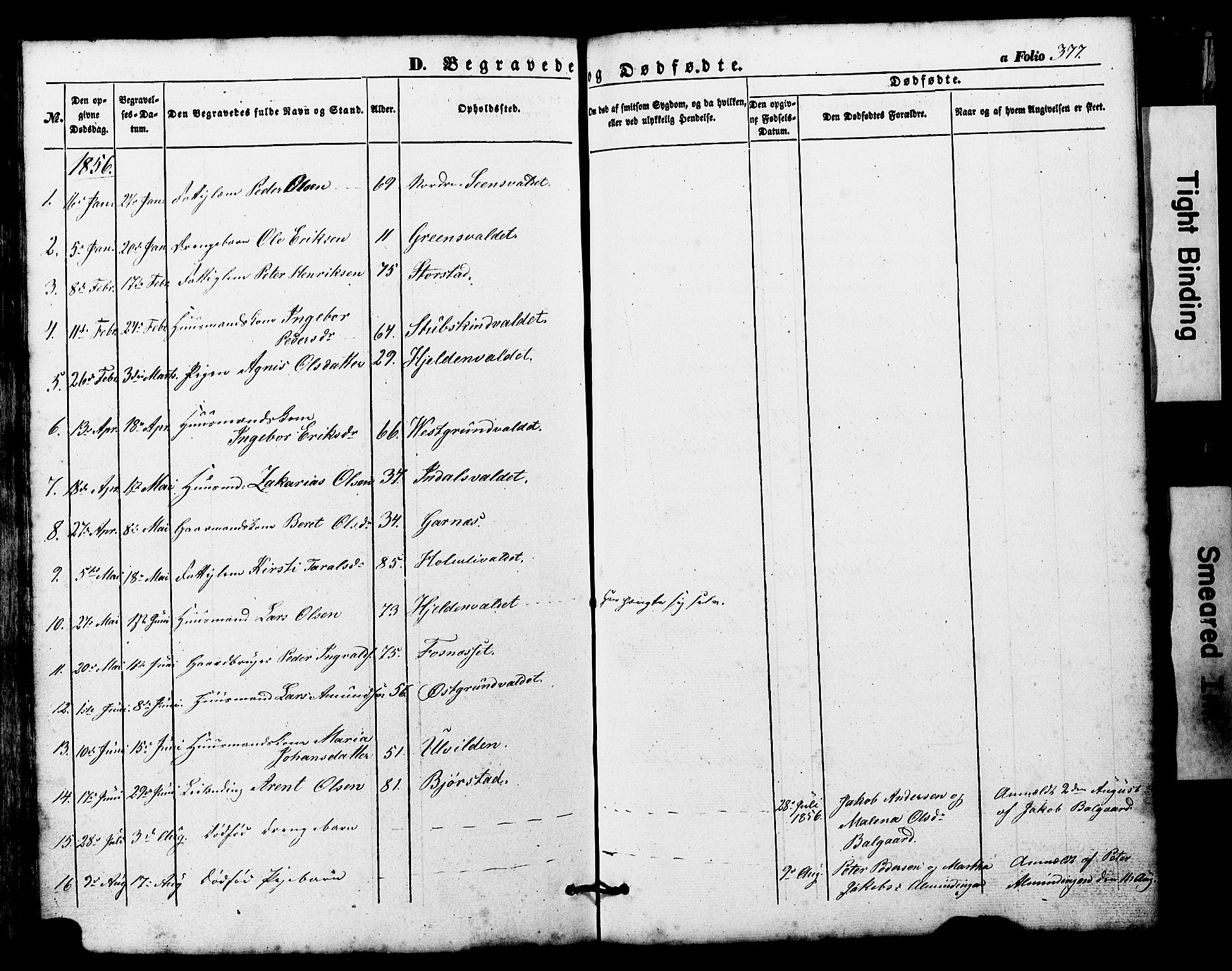 Ministerialprotokoller, klokkerbøker og fødselsregistre - Nord-Trøndelag, SAT/A-1458/724/L0268: Klokkerbok nr. 724C04, 1846-1878, s. 377