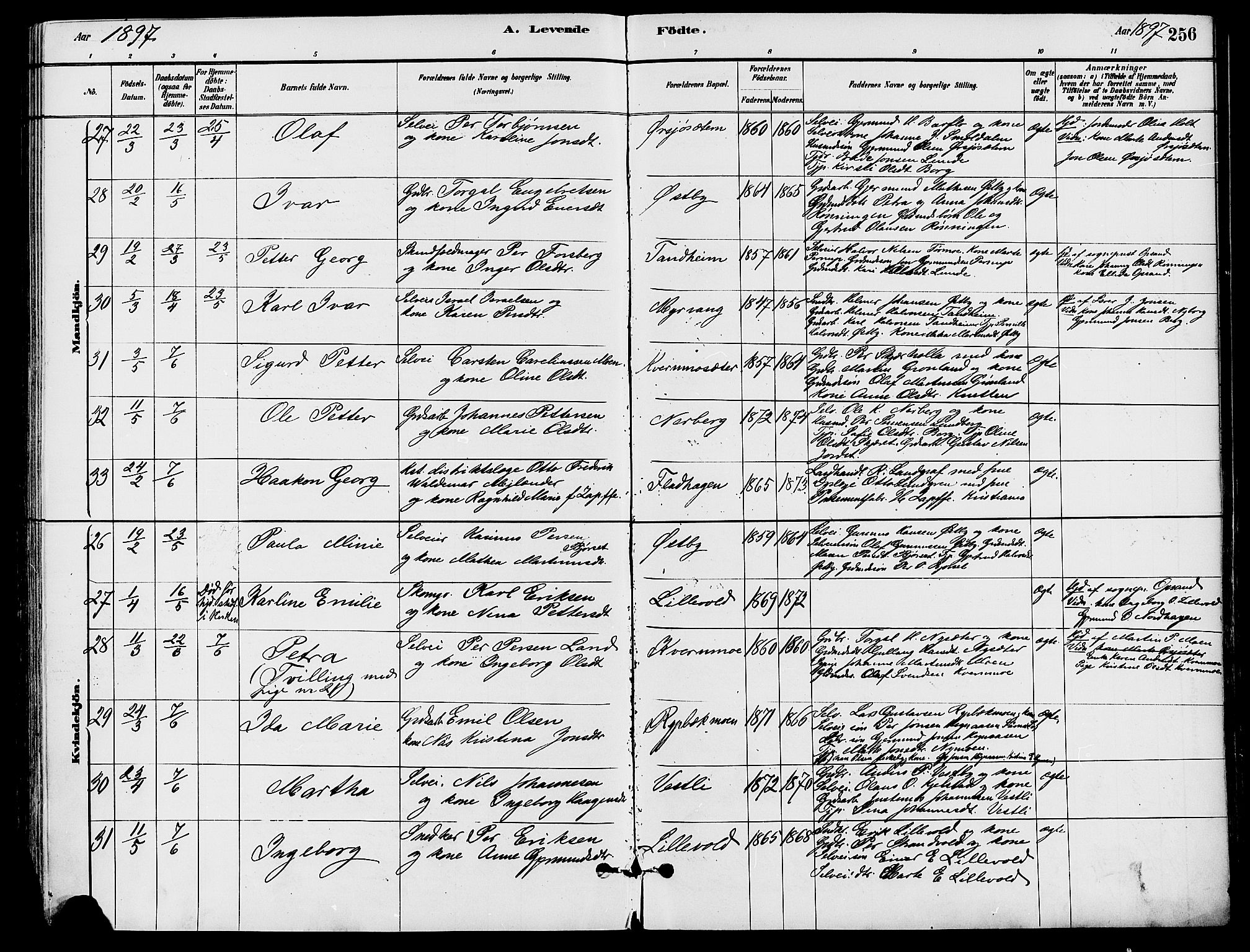 Trysil prestekontor, AV/SAH-PREST-046/H/Ha/Haa/L0008: Ministerialbok nr. 8, 1881-1897, s. 256