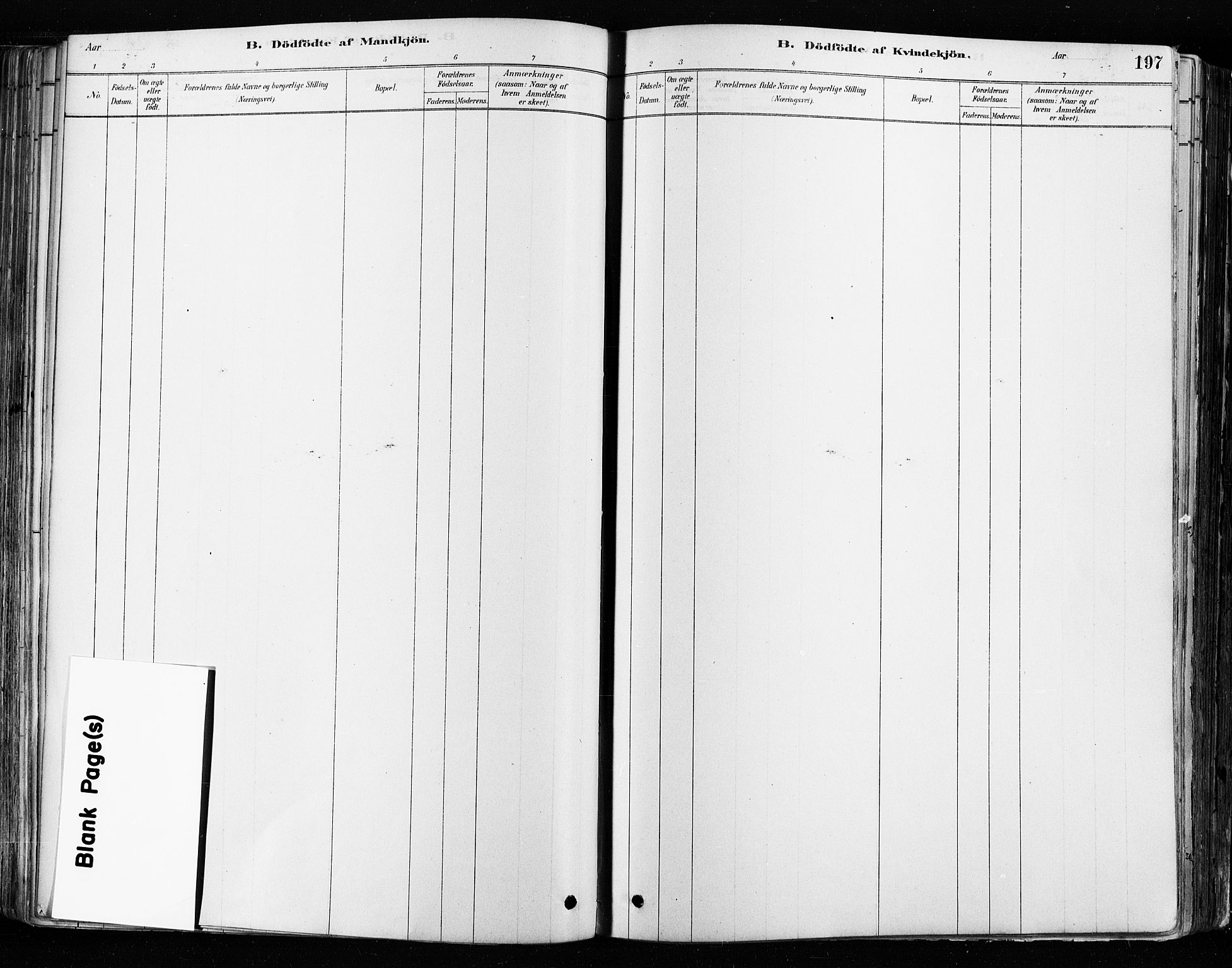 Tune prestekontor Kirkebøker, AV/SAO-A-2007/F/Fa/L0017: Ministerialbok nr. 17, 1878-1887, s. 197