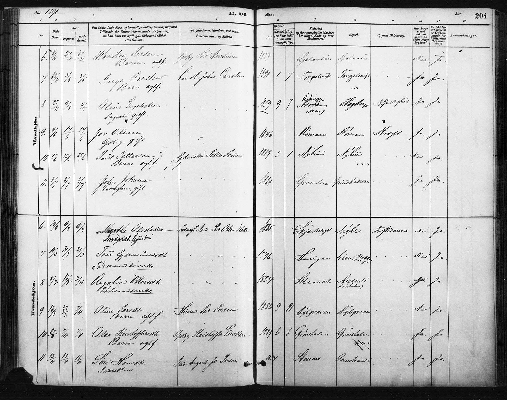 Trysil prestekontor, AV/SAH-PREST-046/H/Ha/Haa/L0009: Ministerialbok nr. 9, 1881-1897, s. 204