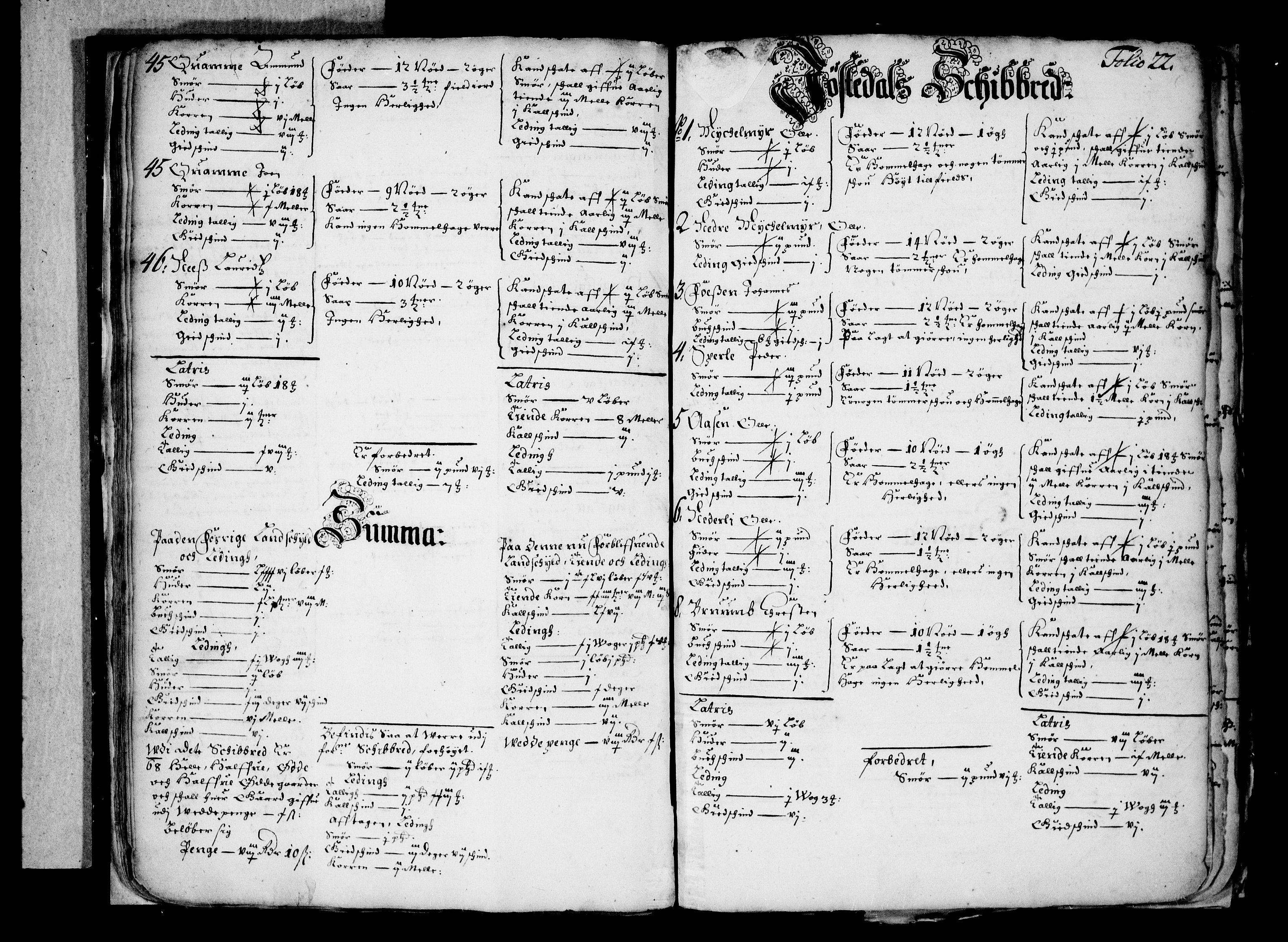 Rentekammeret inntil 1814, Realistisk ordnet avdeling, AV/RA-EA-4070/N/Nb/Nba/L0041: Indre Sogn fogderi, 1666, s. 21b-22a