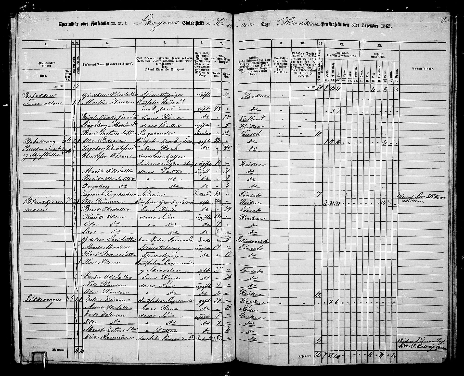 RA, Folketelling 1865 for 0440P Kvikne prestegjeld, 1865, s. 9