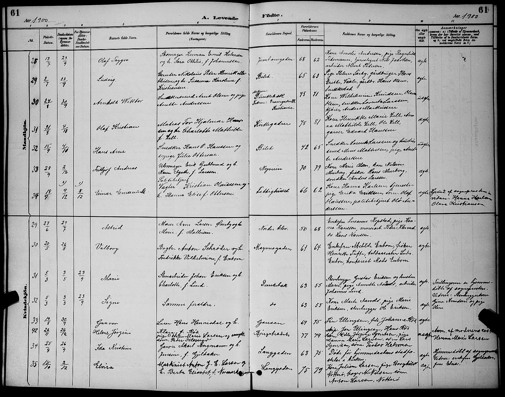 Holmestrand kirkebøker, AV/SAKO-A-346/G/Ga/L0005: Klokkerbok nr. 5, 1889-1901, s. 61