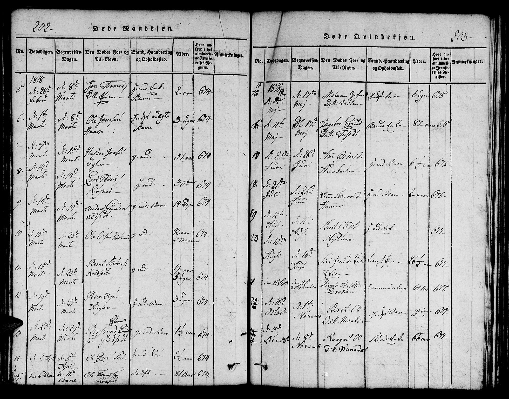 Ministerialprotokoller, klokkerbøker og fødselsregistre - Sør-Trøndelag, AV/SAT-A-1456/695/L1152: Klokkerbok nr. 695C03, 1816-1831, s. 202-203