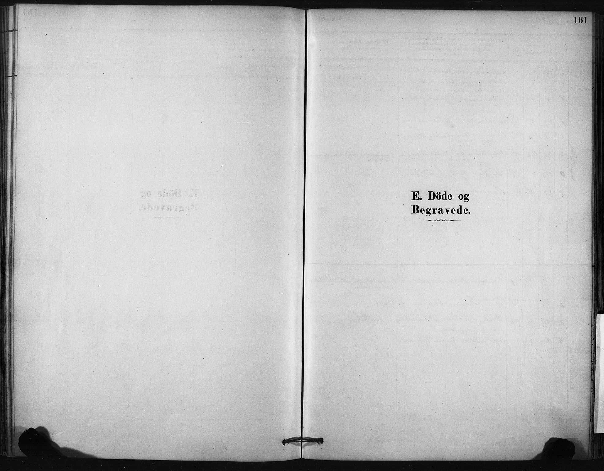Ministerialprotokoller, klokkerbøker og fødselsregistre - Nordland, SAT/A-1459/807/L0122: Ministerialbok nr. 807A05, 1880-1902, s. 161