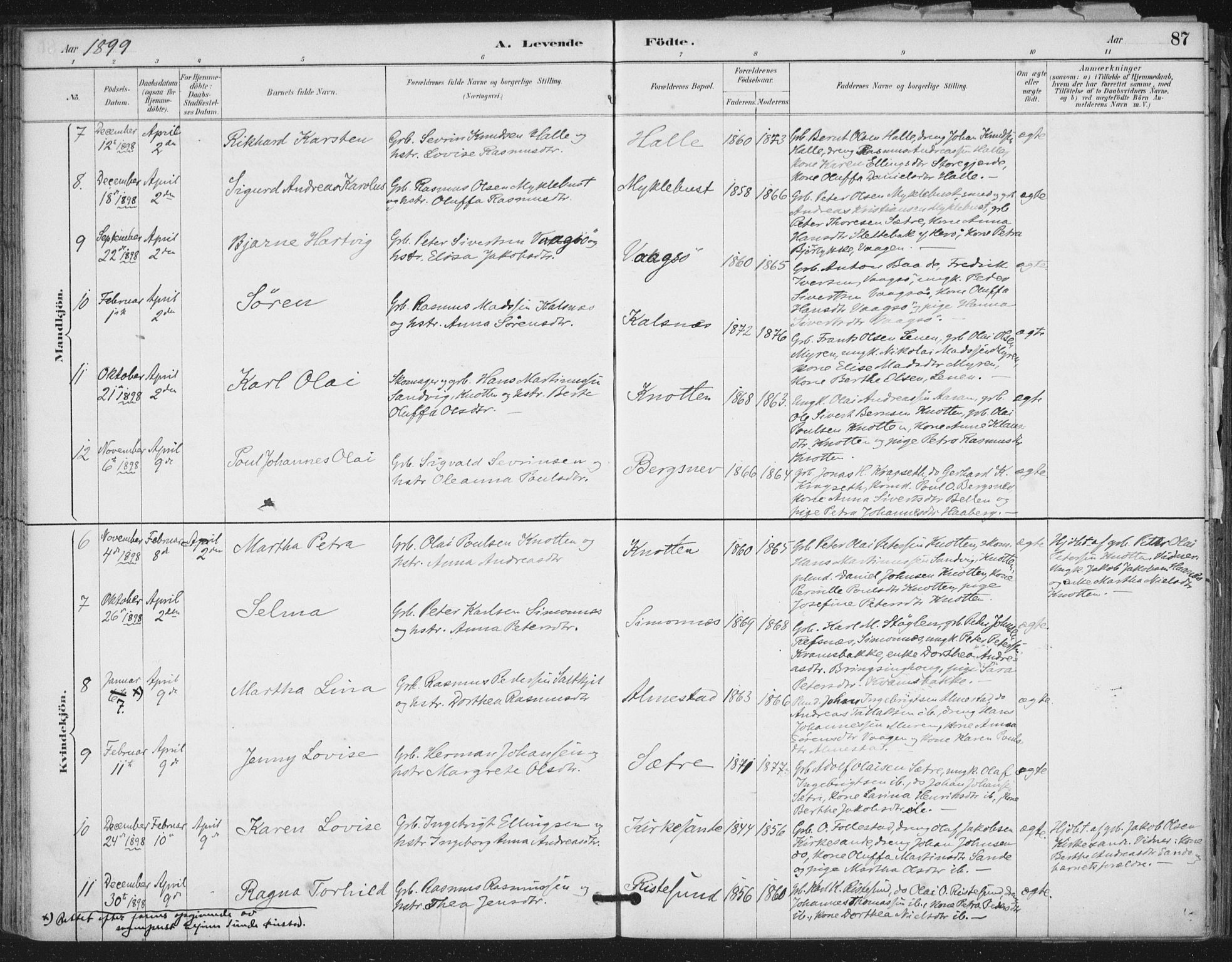 Ministerialprotokoller, klokkerbøker og fødselsregistre - Møre og Romsdal, SAT/A-1454/503/L0037: Ministerialbok nr. 503A05, 1884-1900, s. 87