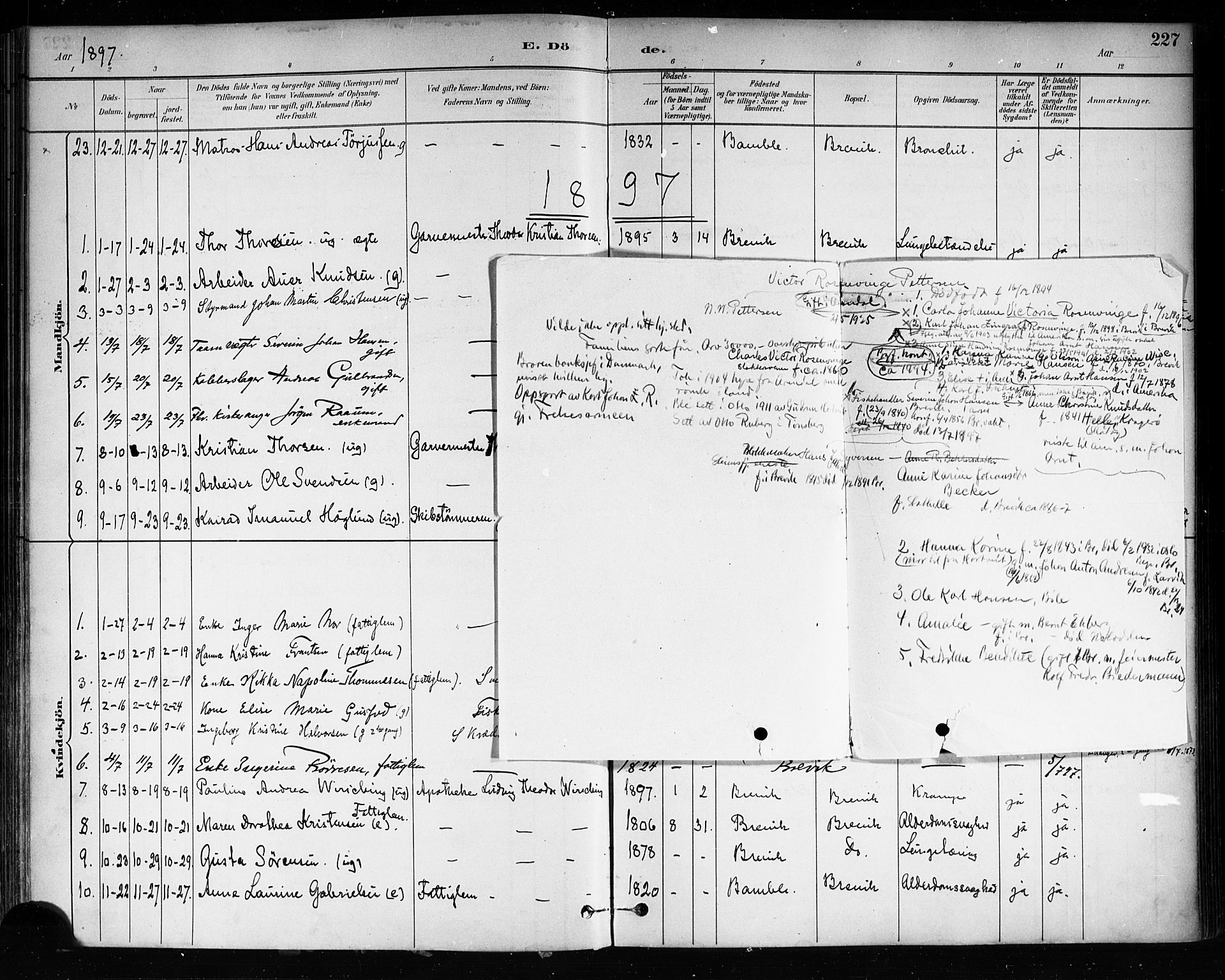 Brevik kirkebøker, AV/SAKO-A-255/F/Fa/L0007: Ministerialbok nr. 7, 1882-1900, s. 227