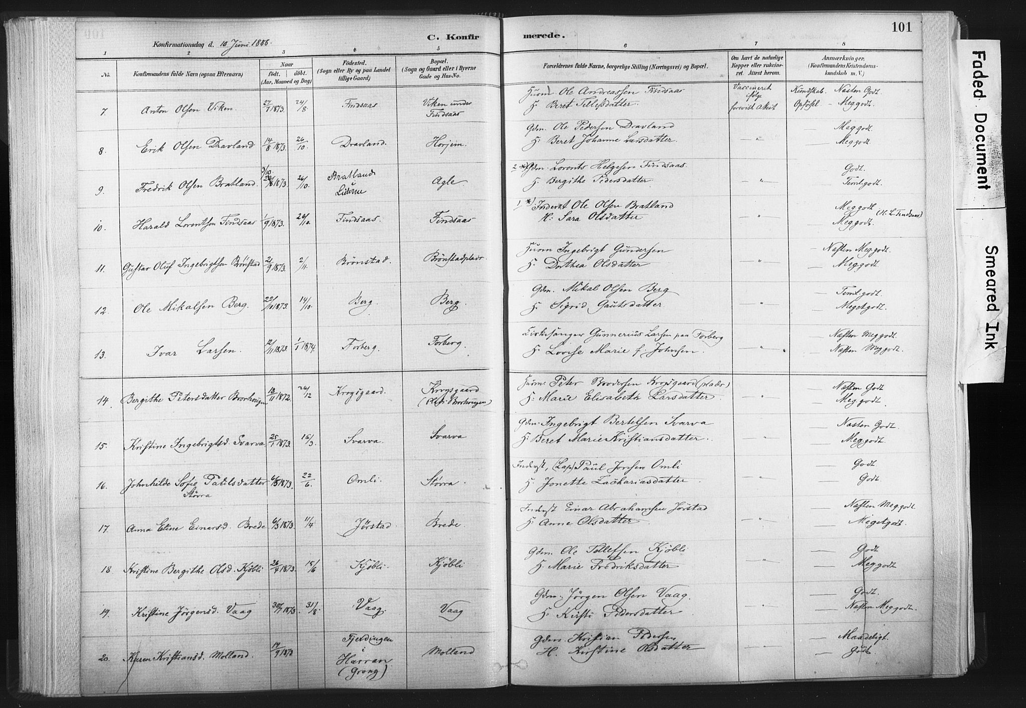 Ministerialprotokoller, klokkerbøker og fødselsregistre - Nord-Trøndelag, SAT/A-1458/749/L0474: Ministerialbok nr. 749A08, 1887-1903, s. 101