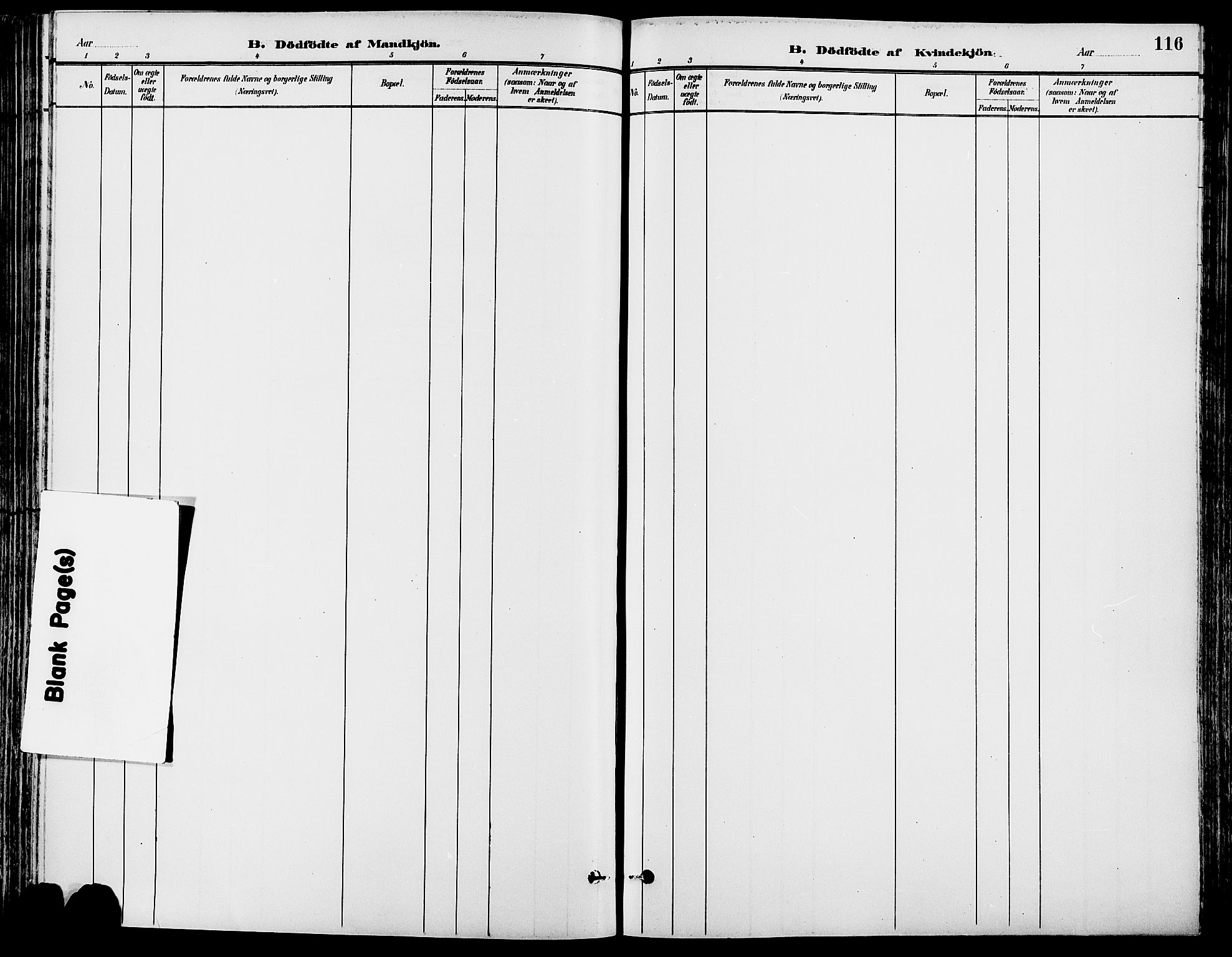 Stor-Elvdal prestekontor, AV/SAH-PREST-052/H/Ha/Haa/L0002: Ministerialbok nr. 2, 1882-1907, s. 116