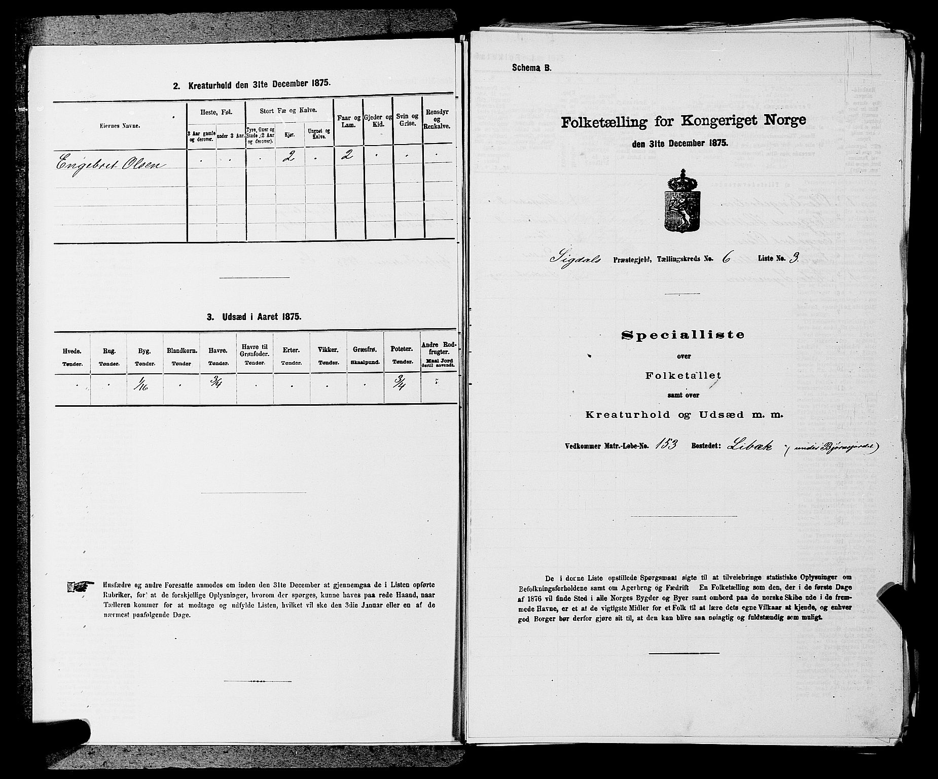 SAKO, Folketelling 1875 for 0621P Sigdal prestegjeld, 1875, s. 855