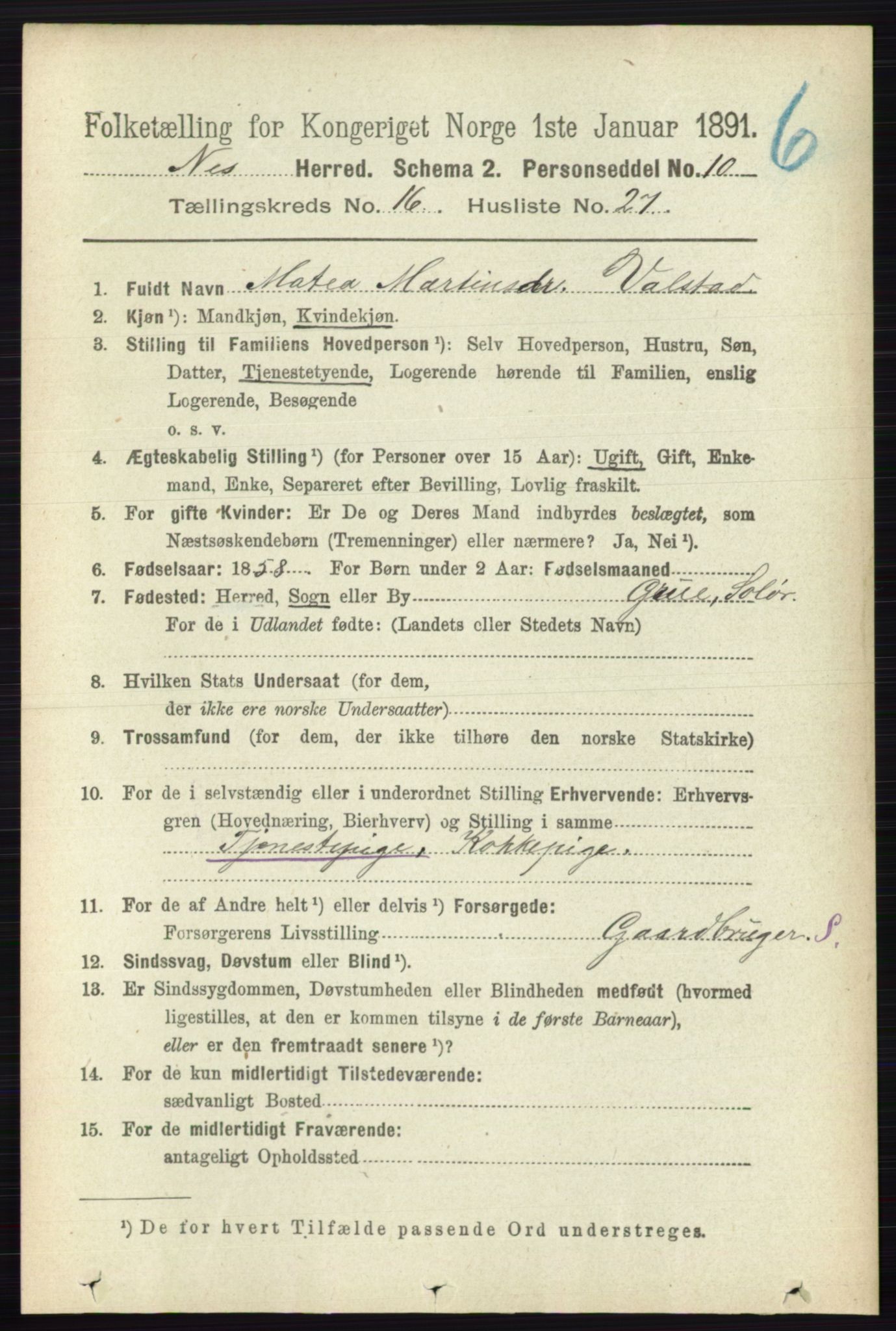 RA, Folketelling 1891 for 0236 Nes herred, 1891, s. 9719
